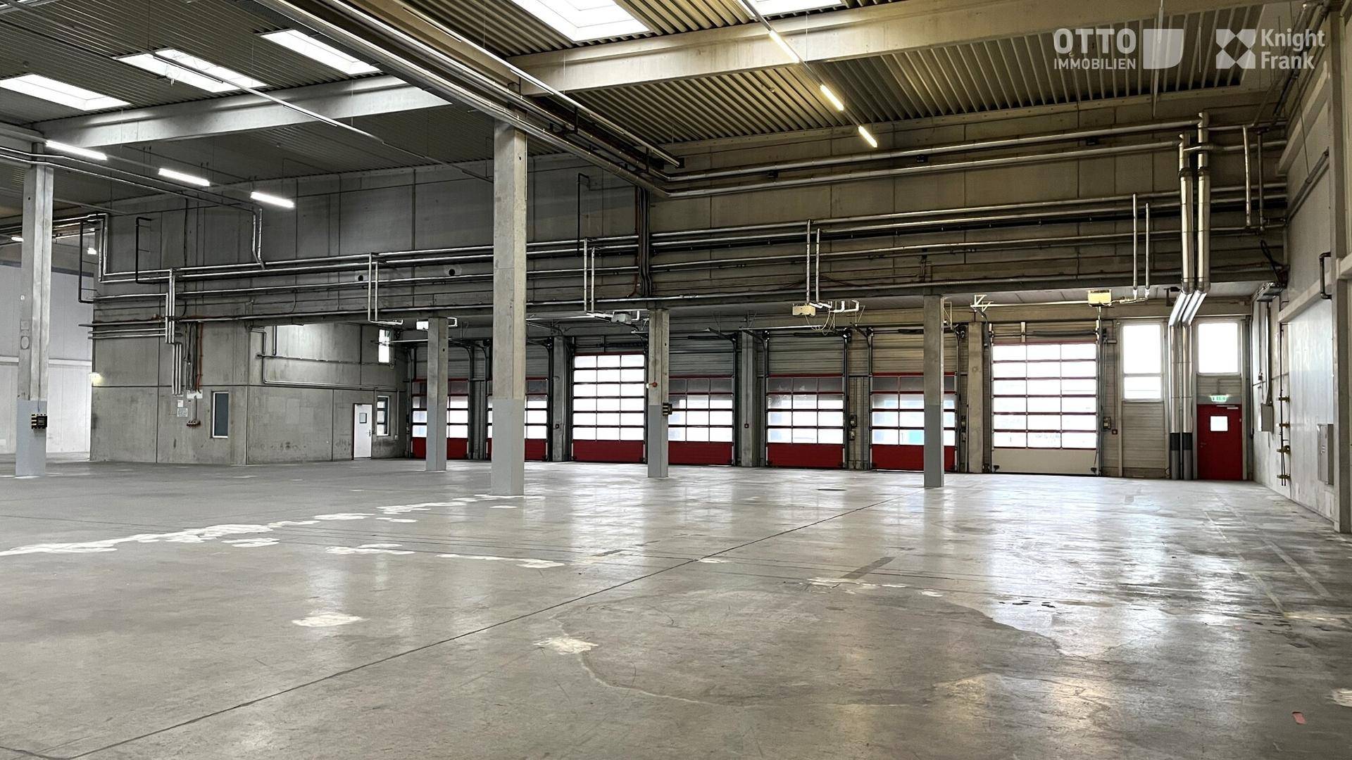 Große Lagerhalle mit Betonboden, sichtbaren Rohren an der Decke und mehreren Rolltoren.