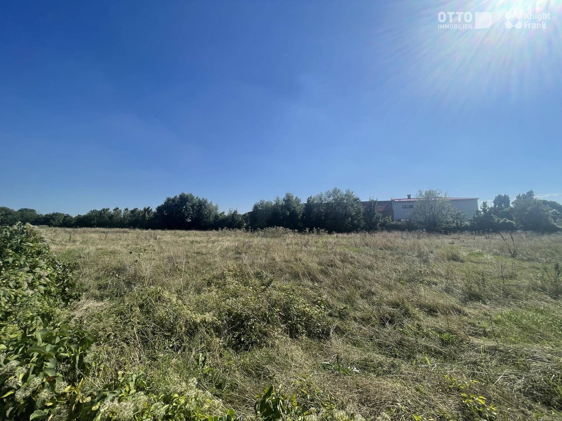 Sonniger Blick über ein weites, grasbewachsenes Feld mit vereinzelten Büschen und Gebäuden am Horizont unter strahlend blauem Himmel.