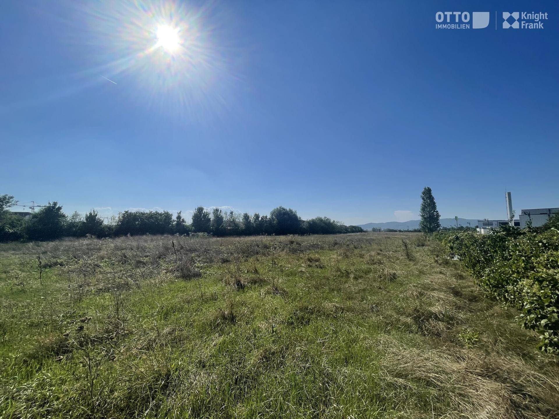 Sonniger Ausblick über ein weites, grasbewachsenes Grundstück mit Bäumen und Gebäuden am Horizont unter einem strahlend blauen Himmel.