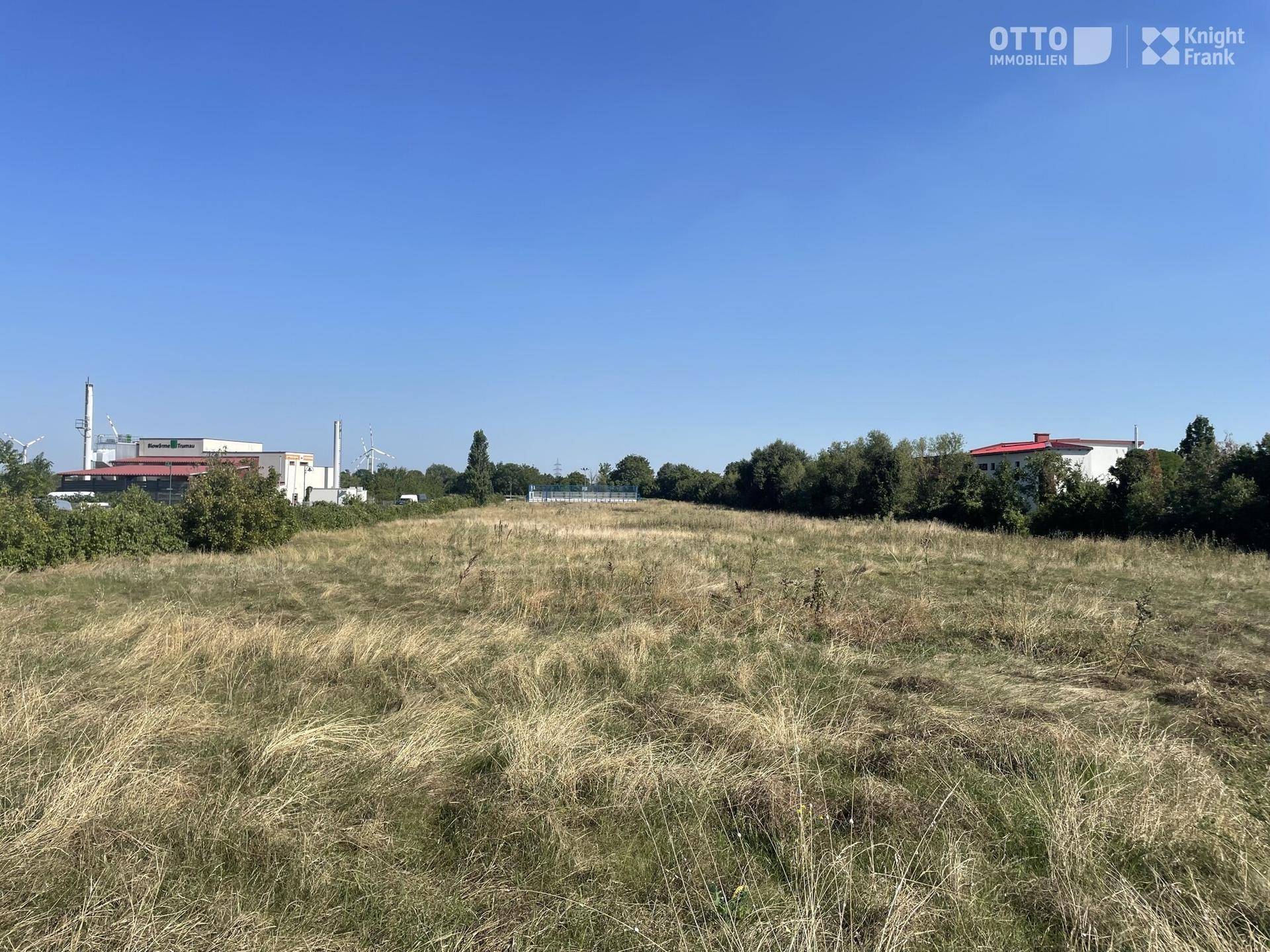 Weitläufiges, ungenutztes Feld mit hohem Gras unter einem klaren blauen Himmel, mit Industriegebäuden und Windrädern in der Ferne.