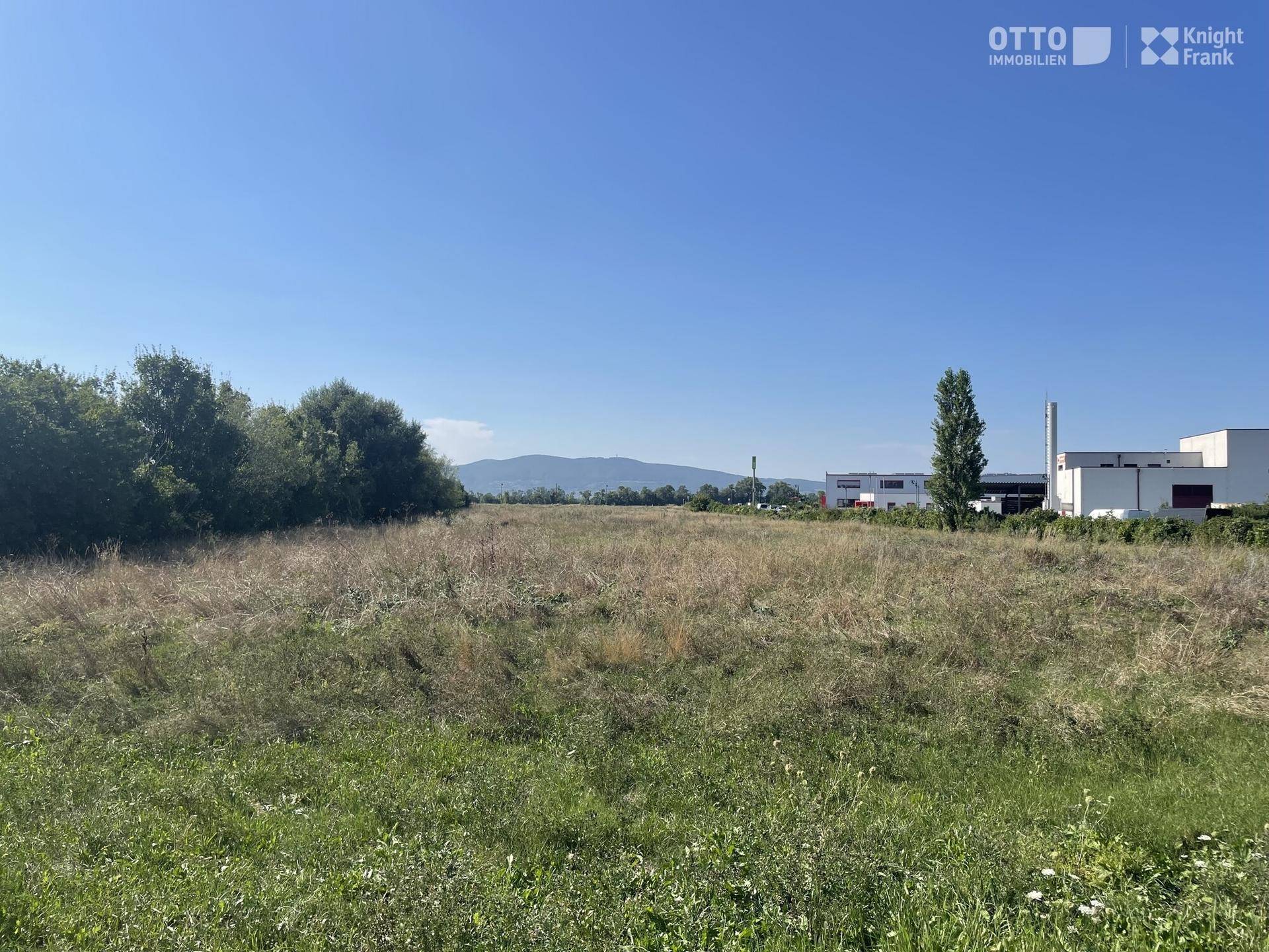 Offenes Feld mit hohem Gras und Büschen, im Hintergrund sind Berge und einige Industriegebäude unter blauem Himmel zu sehen.