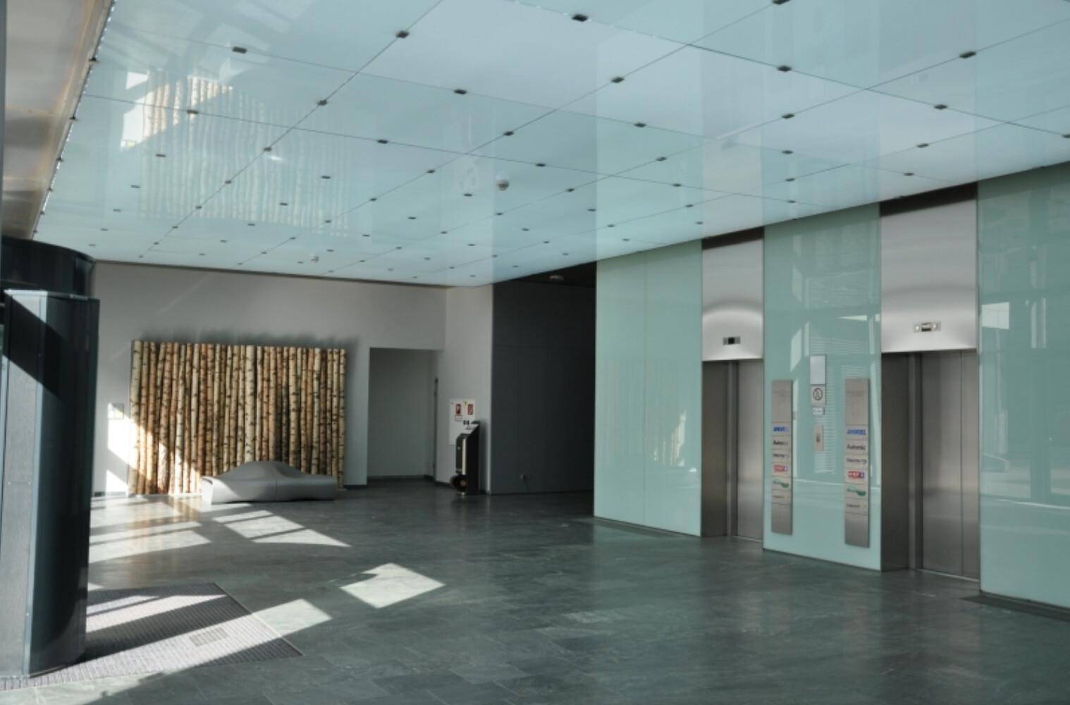 Geräumige Lobby mit glänzenden Böden, modernen Aufzügen und einer dekorativen Birkenstammwand.