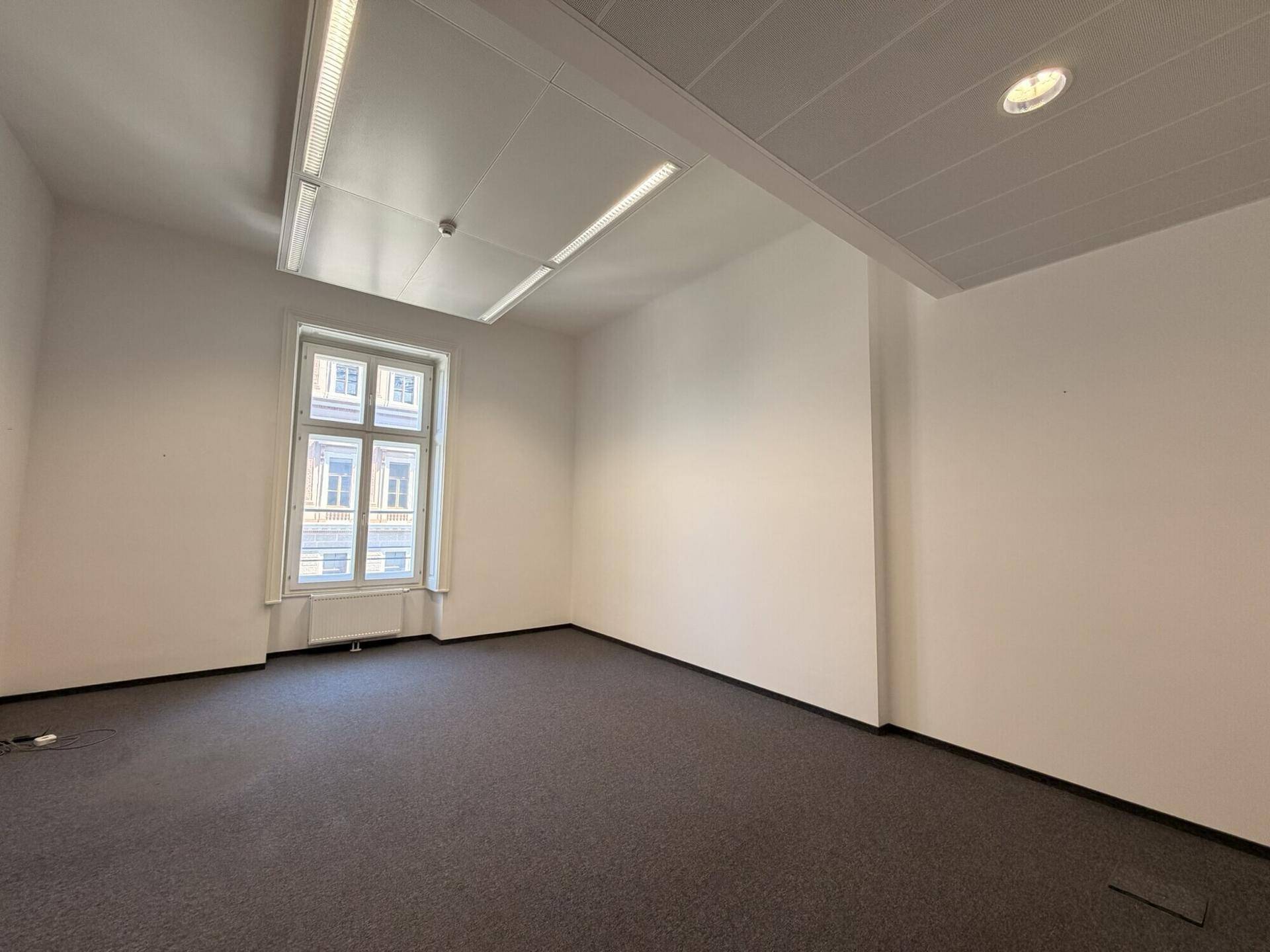 Leeres Büro mit dunklem Teppichboden, weißen Wänden und einem Bogenfenster, beleuchtet durch Deckenleuchten.