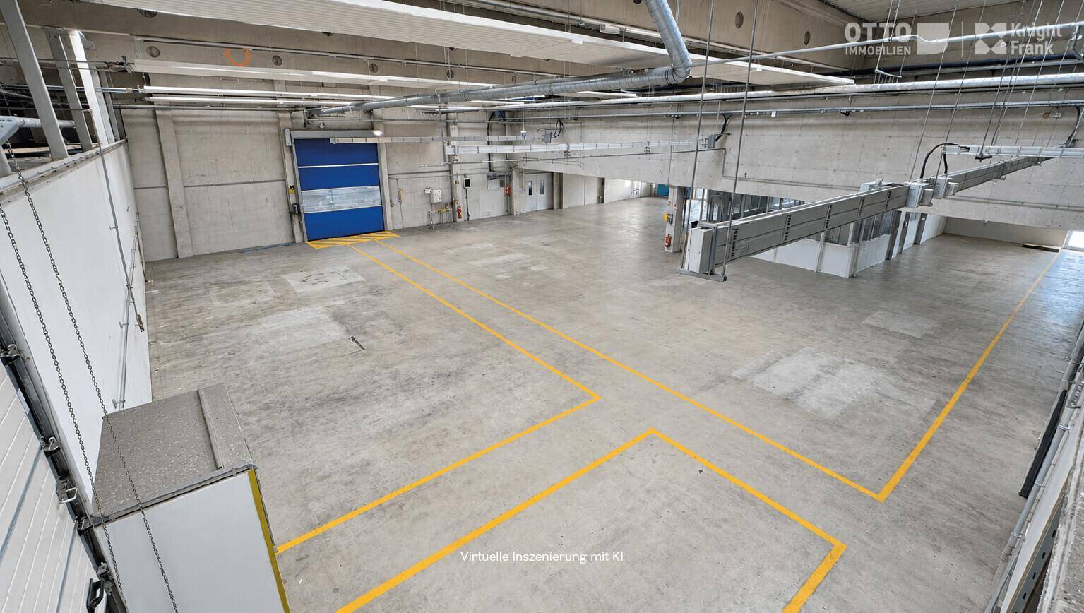 Geräumige Lagerhalle mit hohen Decken, Betonboden und gelben Markierungen, bereit zur Nutzung.