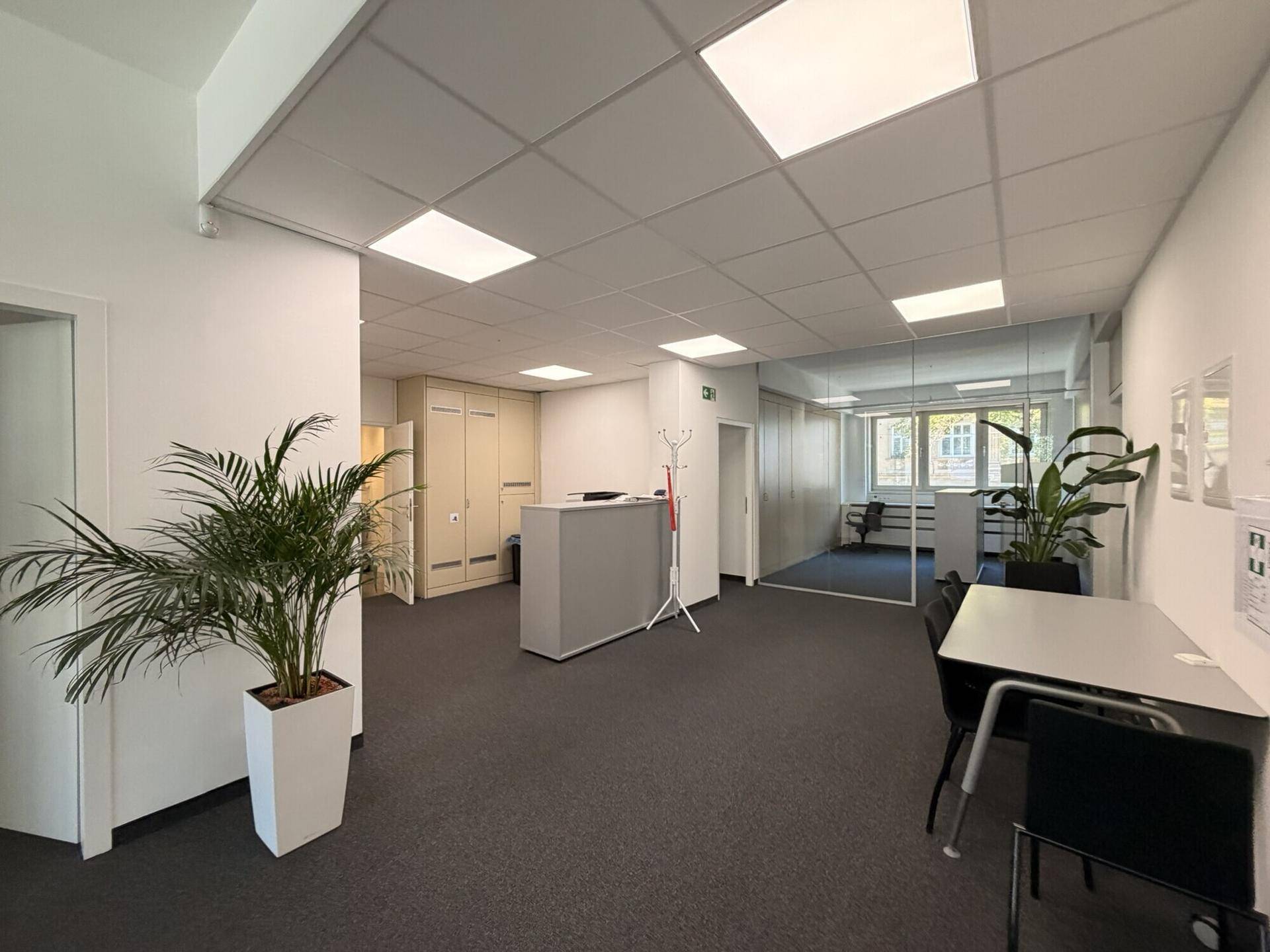 Geräumiger offener Bürobereich mit Empfangsbereich, Pflanzen und Glaswänden für eine helle Atmosphäre.