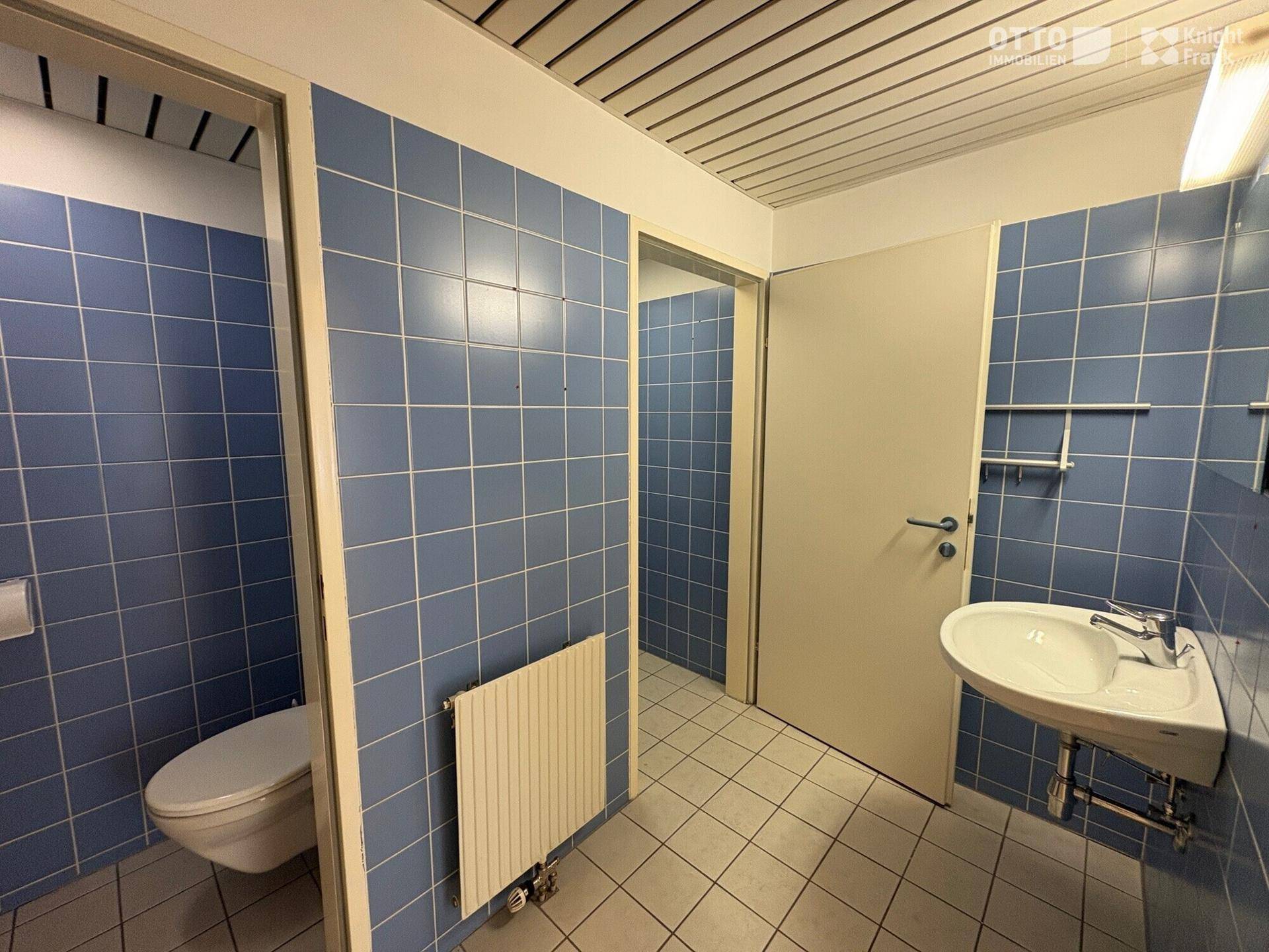 Sanitärbereich mit blauen Fliesen, Toilette und Waschbecken, in einem funktionalen und sauberen Zustand.