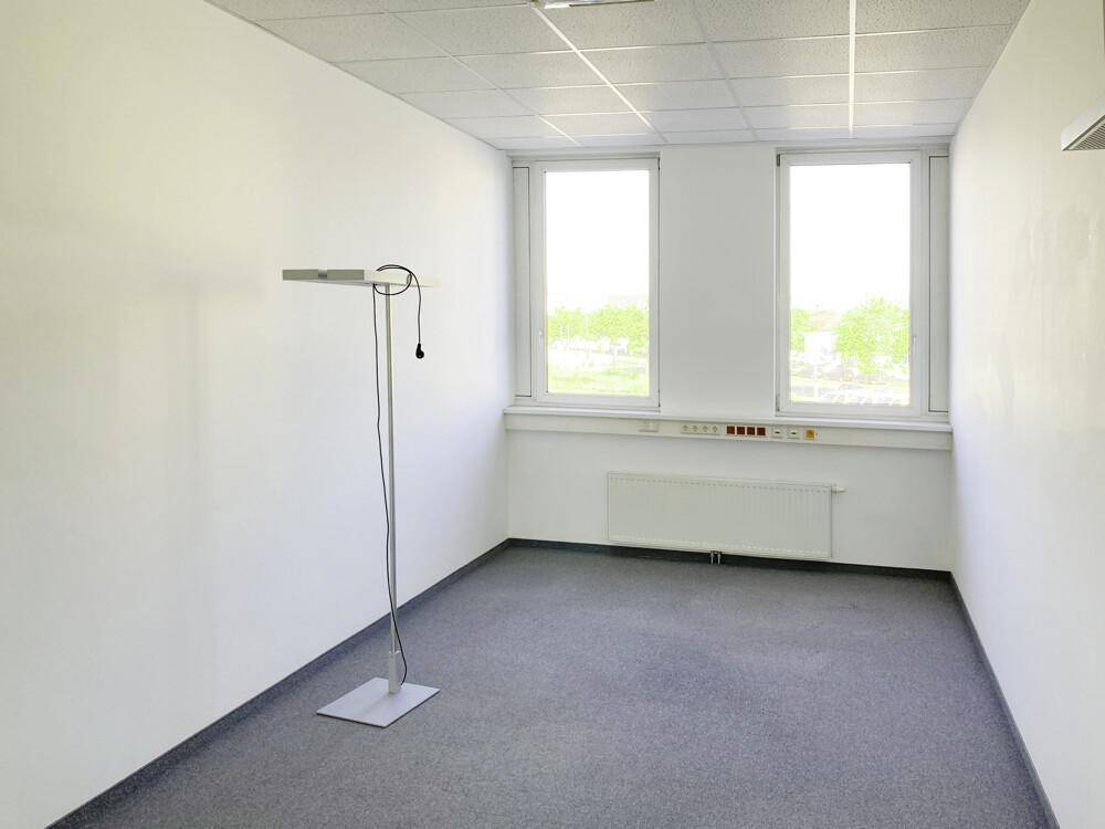 Leerer Büroraum mit Teppichboden, weißen Wänden und zwei großen Fenstern für Tageslicht.