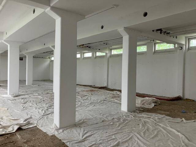 Weitläufiger, heller Innenraum mit zahlreichen tragenden Säulen und hohen Fenstern, ideal für gewerbliche Nutzung.
