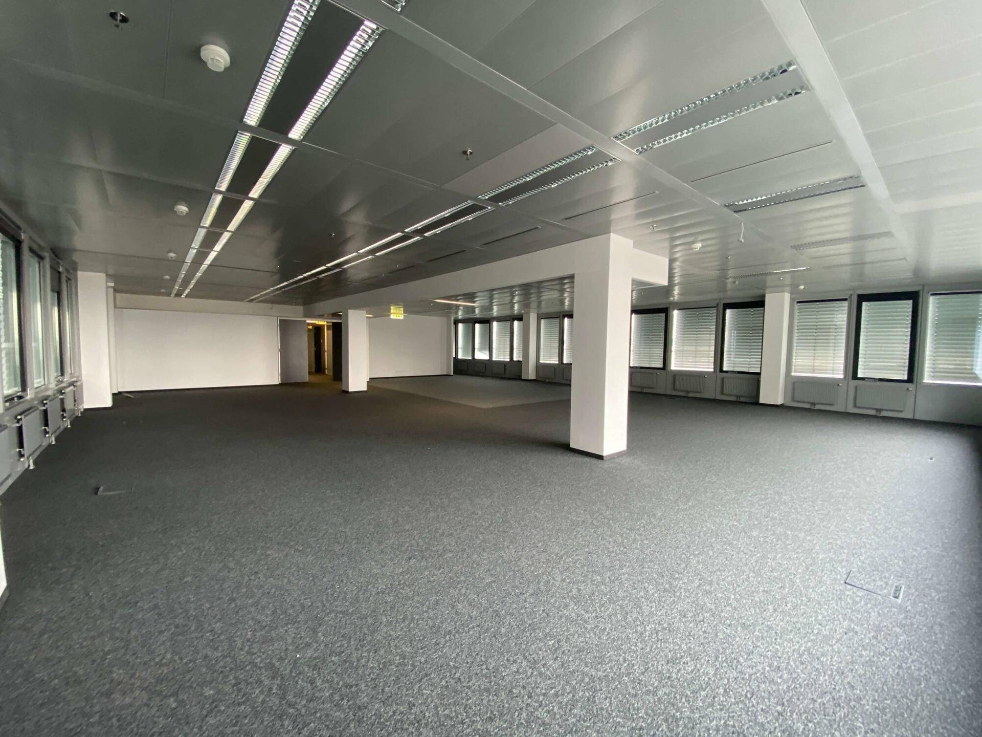 Großer, offener Bürobereich mit Teppichboden, vielen Fenstern und moderner Deckenbeleuchtung.
