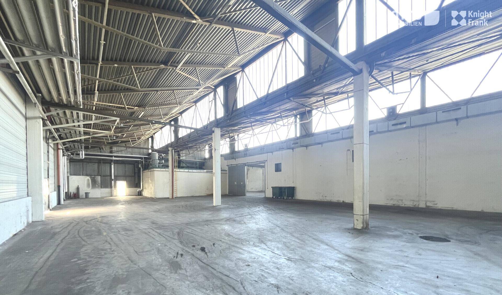 Weitläufige, leere Lagerhalle mit hoher Deckenkonstruktion, Betonboden und viel Tageslicht.