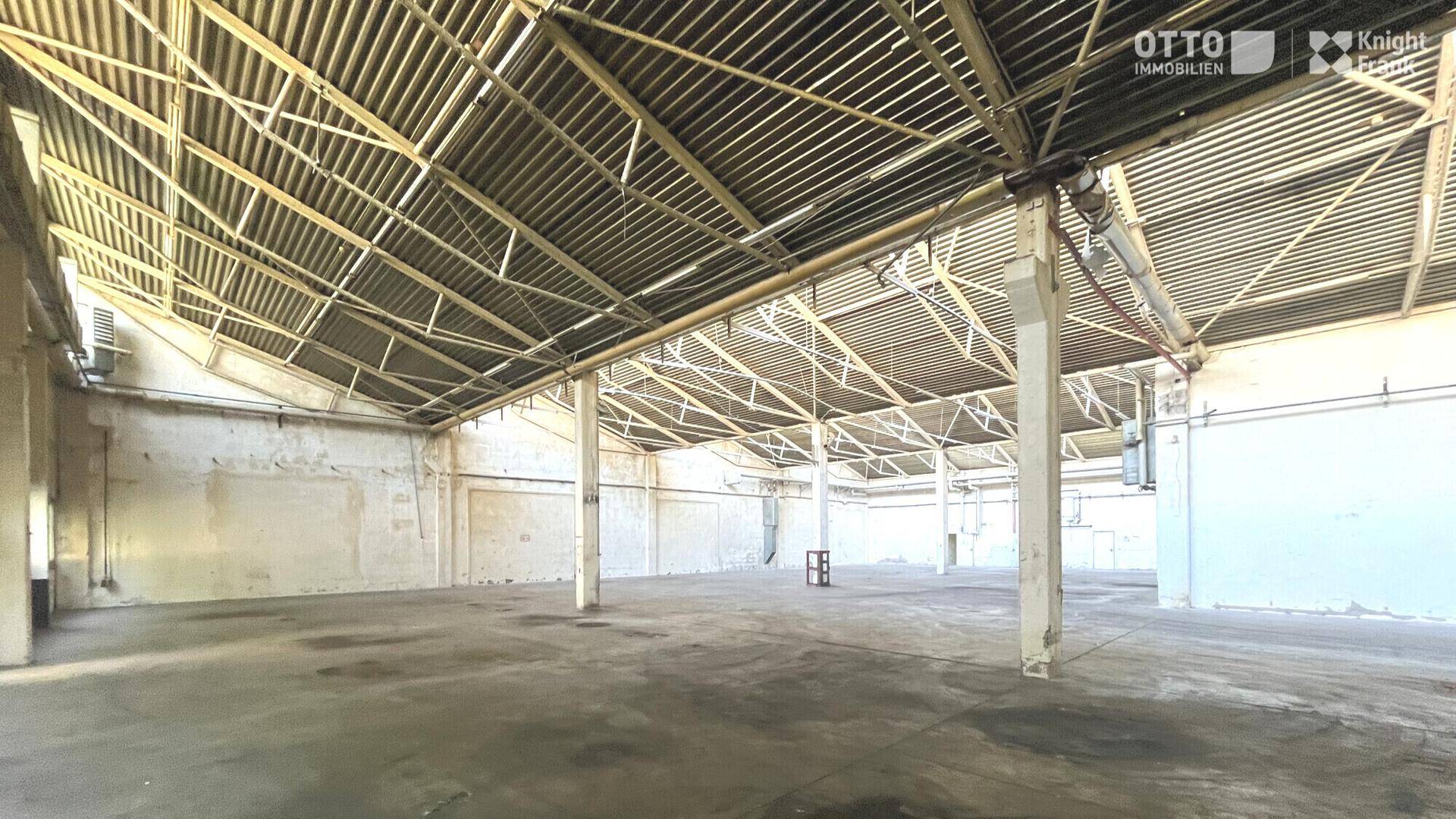 Große, leere Lagerhalle mit hohen Decken und sichtbaren Trägern, bereit zur Nutzung.
