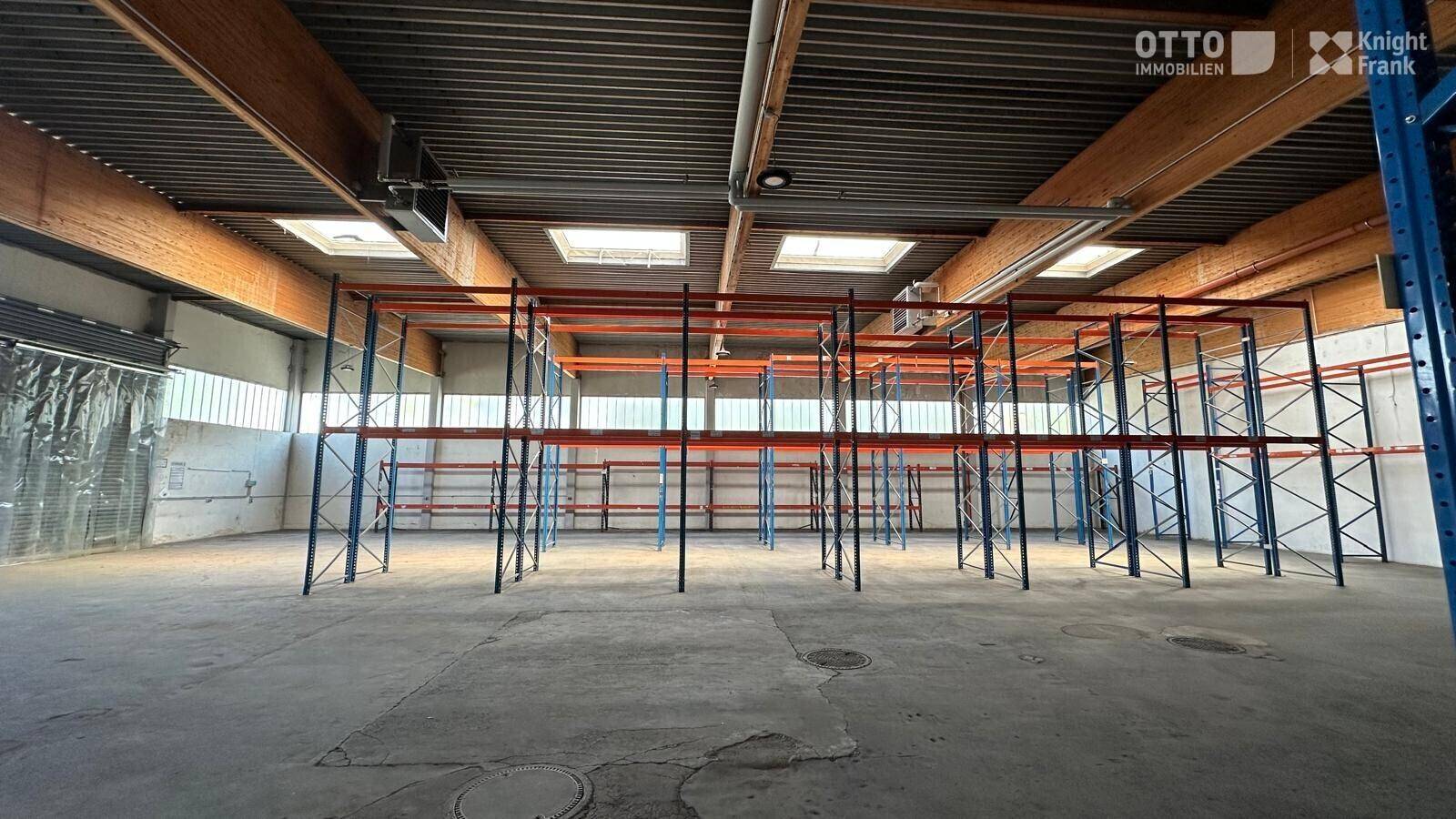 Innenansicht einer Lagerhalle mit hohen Decken, Oberlichtern und einem System von Lagerregalen.