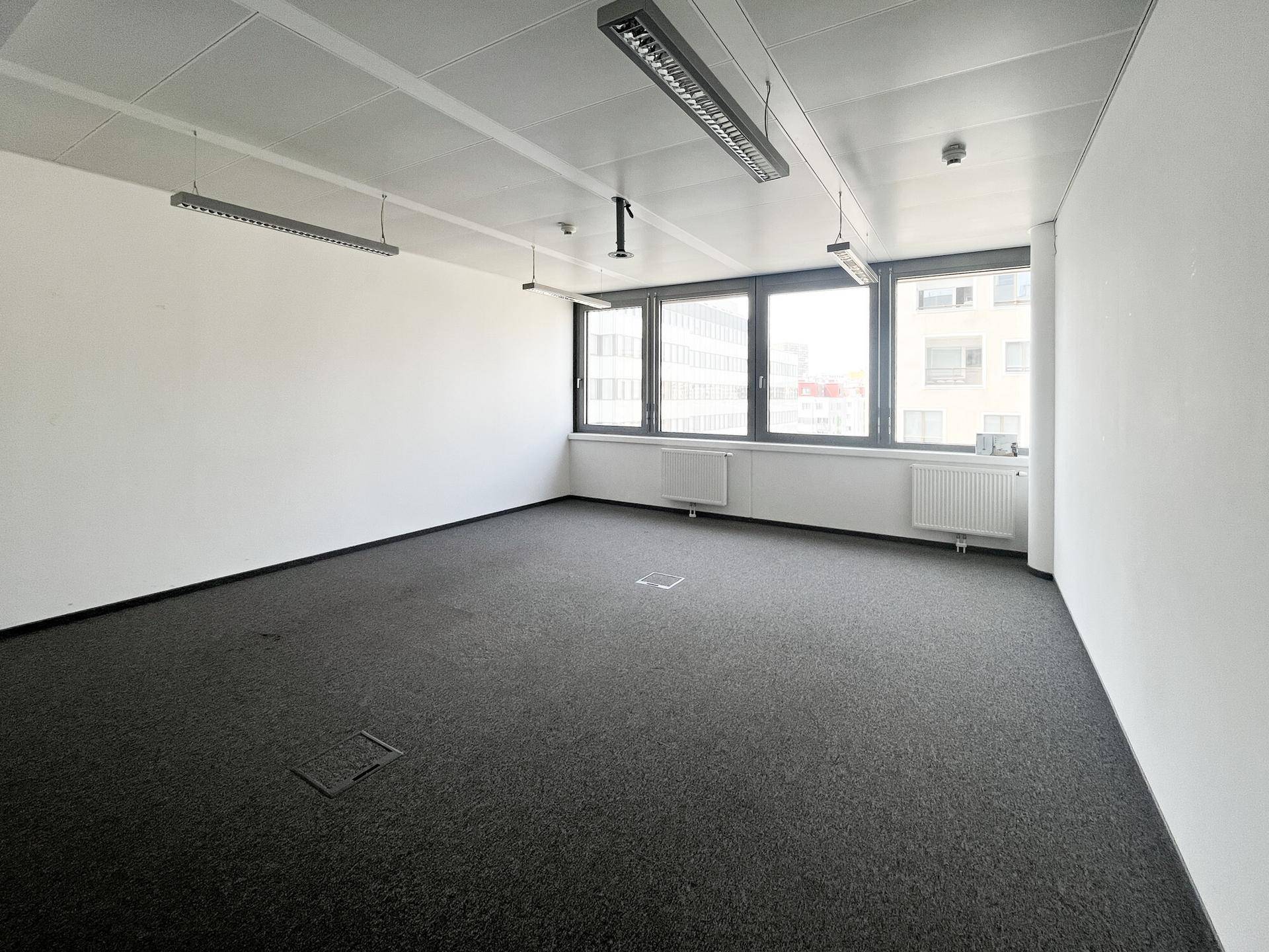 Geräumiges Büro mit grauem Teppichboden, großen Fenstern und modernen Deckenleuchten.