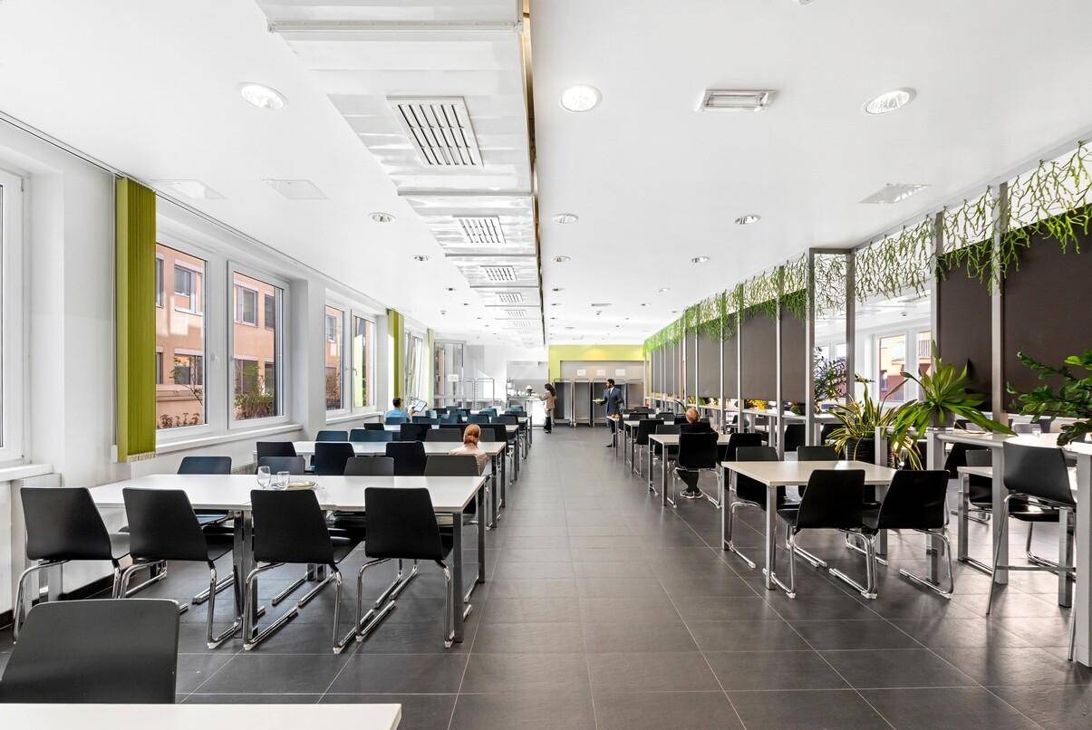 Große, helle Kantine mit vielen Tischen und Stühlen, großen Fenstern und grünen Dekorationen.