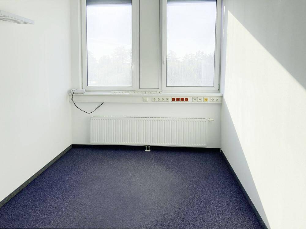 Kleiner Büroraum mit blauem Teppichboden, Heizung und zwei Fenstern für natürliches Licht.