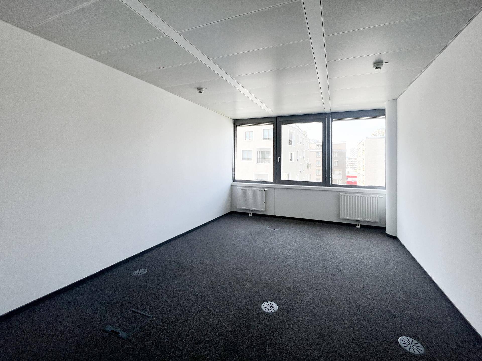 Leeres Büro mit Teppichboden, großen Fenstern und weiß gestrichenen Wänden, bereit zur individuellen Gestaltung.
