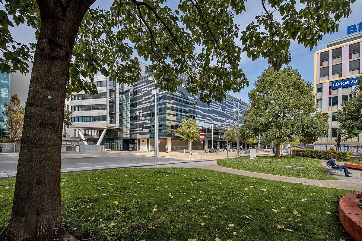 Grüne Parkanlage mit Bäumen und Sitzgelegenheiten, umgeben von modernen Bürogebäuden in einer städtischen Umgebung.