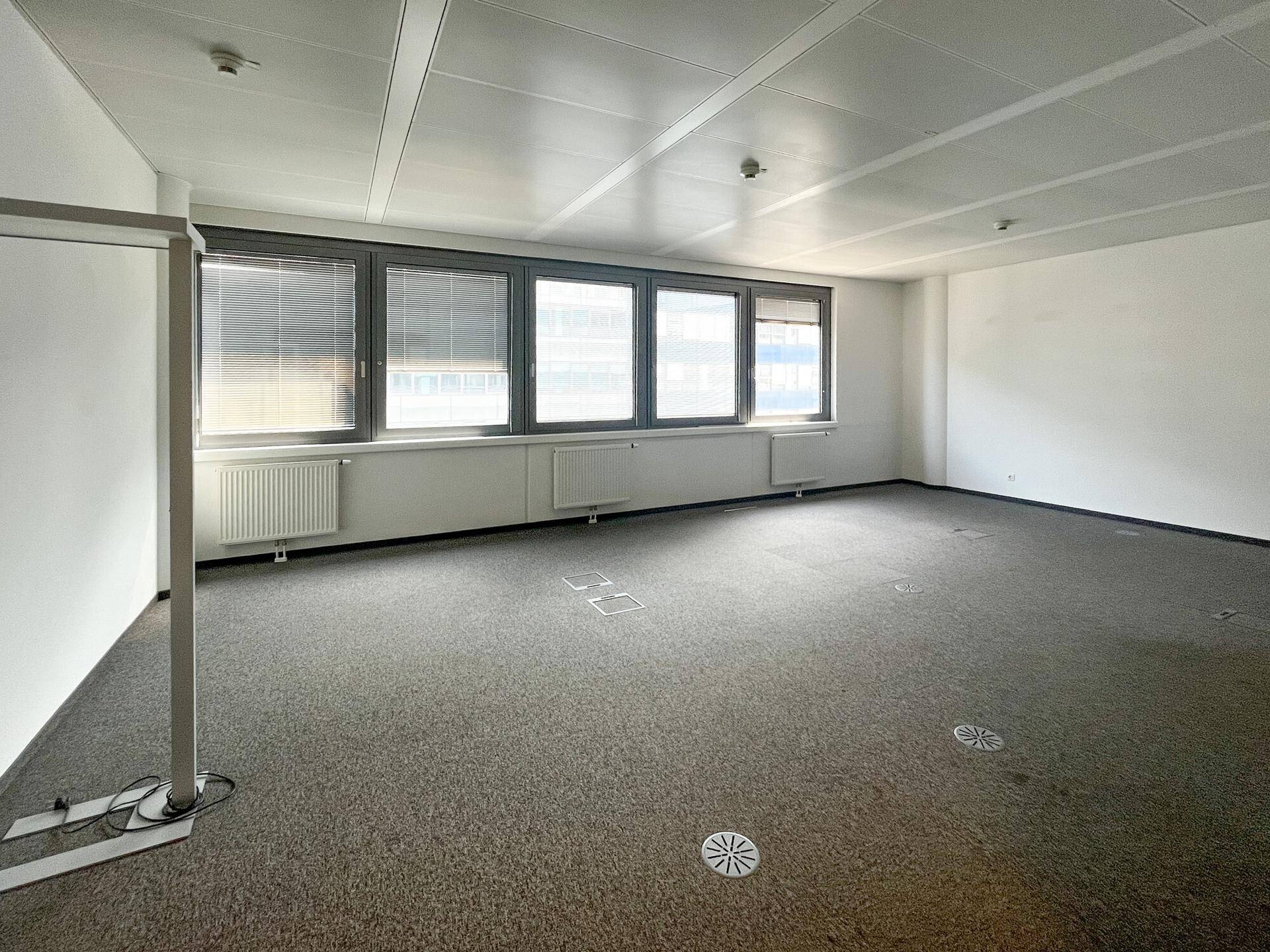 Geräumiges Büro mit Teppichboden, großen Fenstern und einer abgehängten Decke, bereit zur Einrichtung.