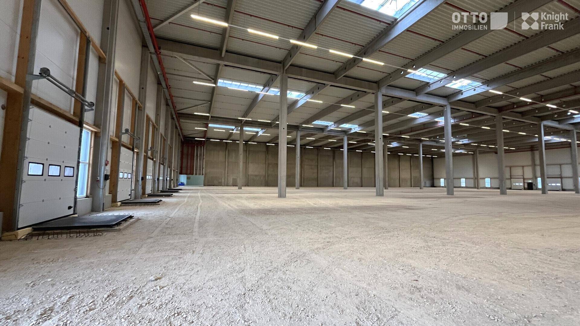 Große, leere Lagerhalle mit hohen Decken, vielen Stützpfeilern, Oberlichtern und Rolltoren.