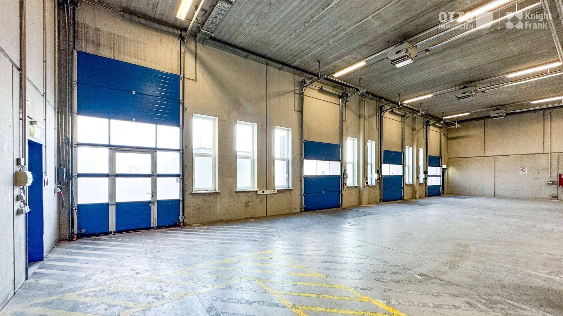 Geräumige Lagerhalle mit mehreren Rolltoren, Fenstern und Betonboden, gut beleuchtet.