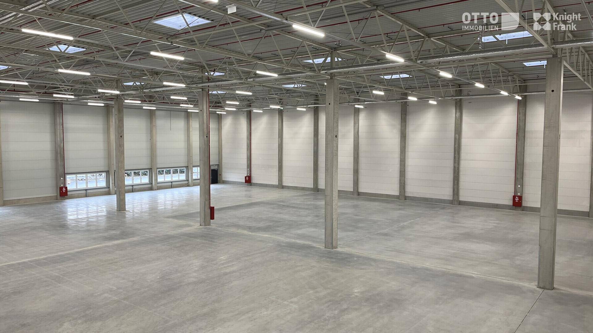 Große, ungenutzte Lagerhalle mit hohen Decken, Betonstützen und einem glatten Betonboden.