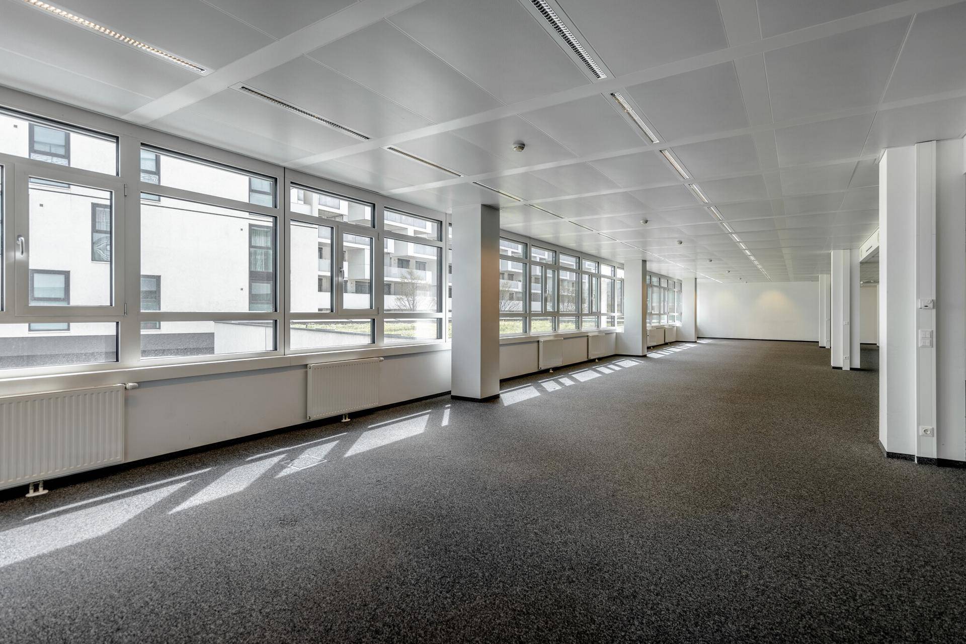 Weitläufiger, heller Büroraum mit Teppichboden und vielen Fenstern, die viel Tageslicht hereinlassen.