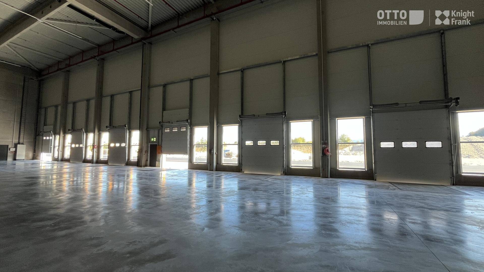 Geräumige Lagerhalle mit glänzendem Betonboden und zahlreichen Rolltoren für den Zugang.