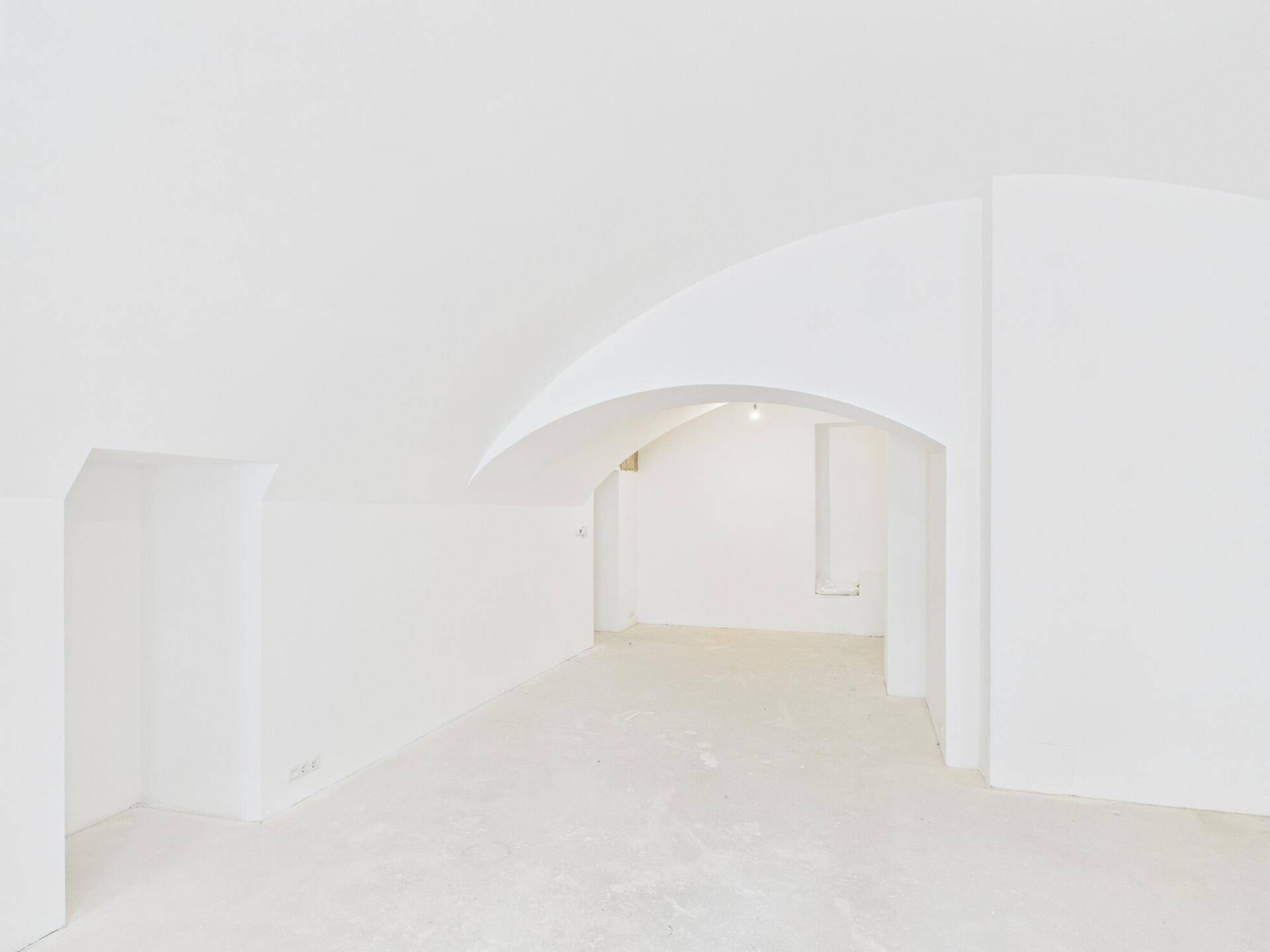 Großer, leerer Gewerberaum mit markanten Gewölbedecken und weiß gestrichenen Wänden, bereit zur Gestaltung.