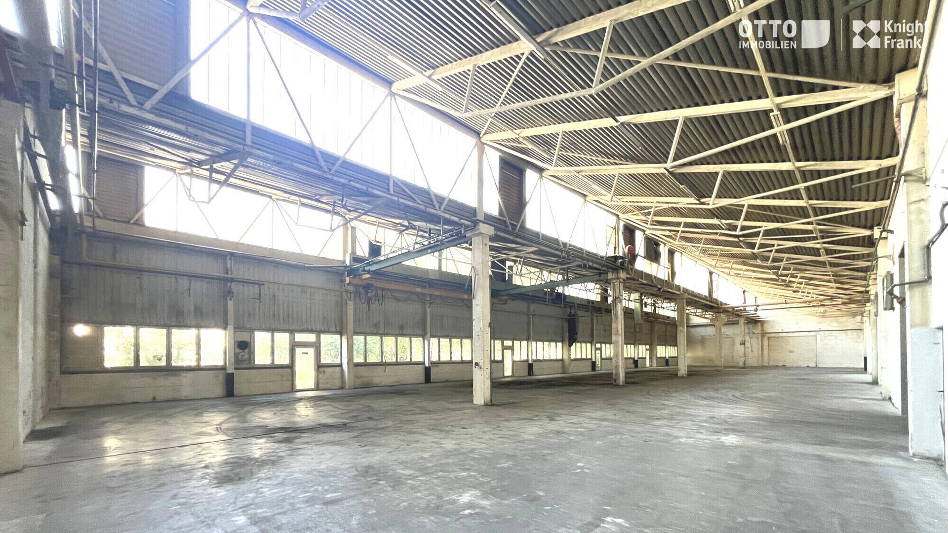 Große, leere Industriehalle mit hoher Decke, sichtbaren Trägern und zahlreichen Fenstern für Tageslicht.