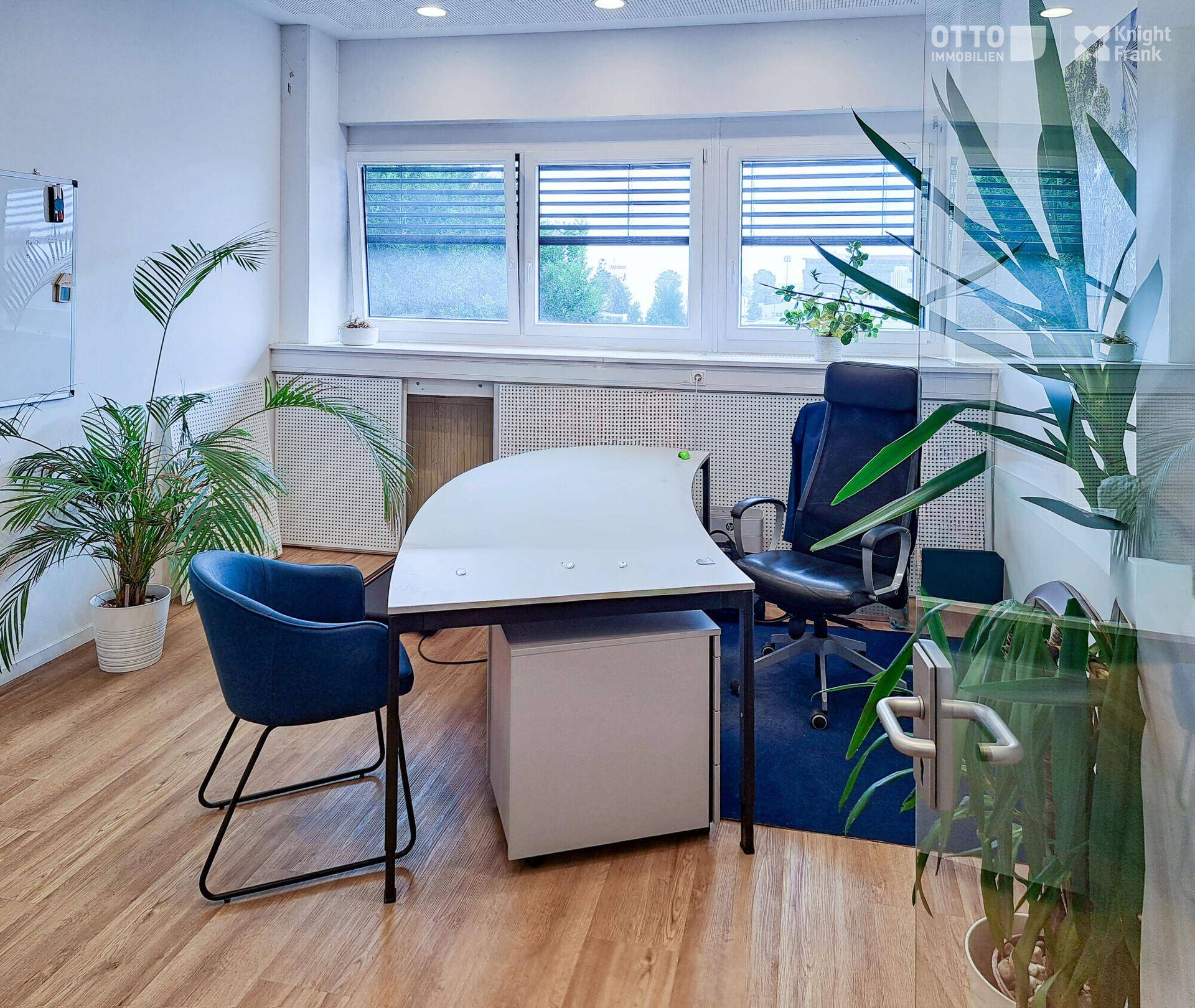 Modernes Büro mit geschwungenem Schreibtisch, Bürostühlen und großen Fenstern mit Jalousien, beleuchtet durch Tageslicht.