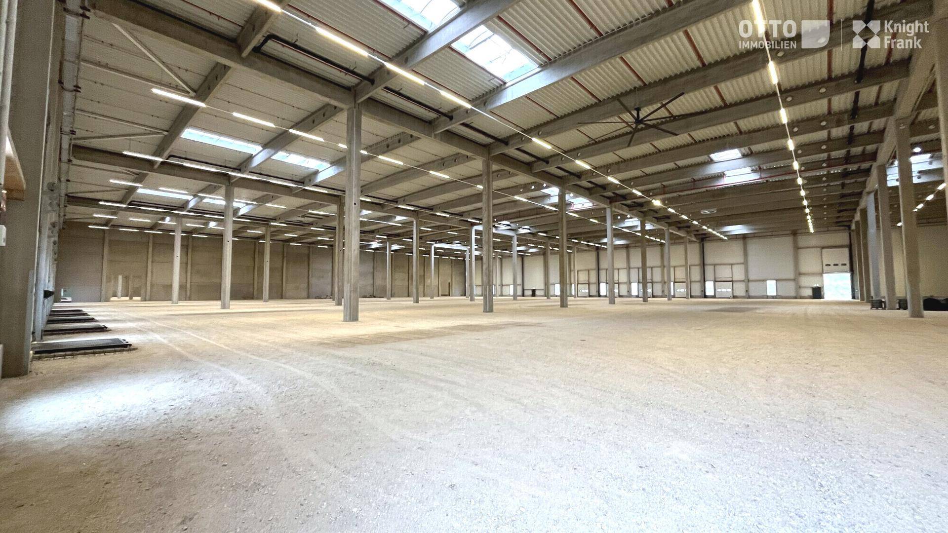 Weitläufige, leere Lagerhalle mit vielen Stützpfeilern und Oberlichtern für natürliche Beleuchtung.