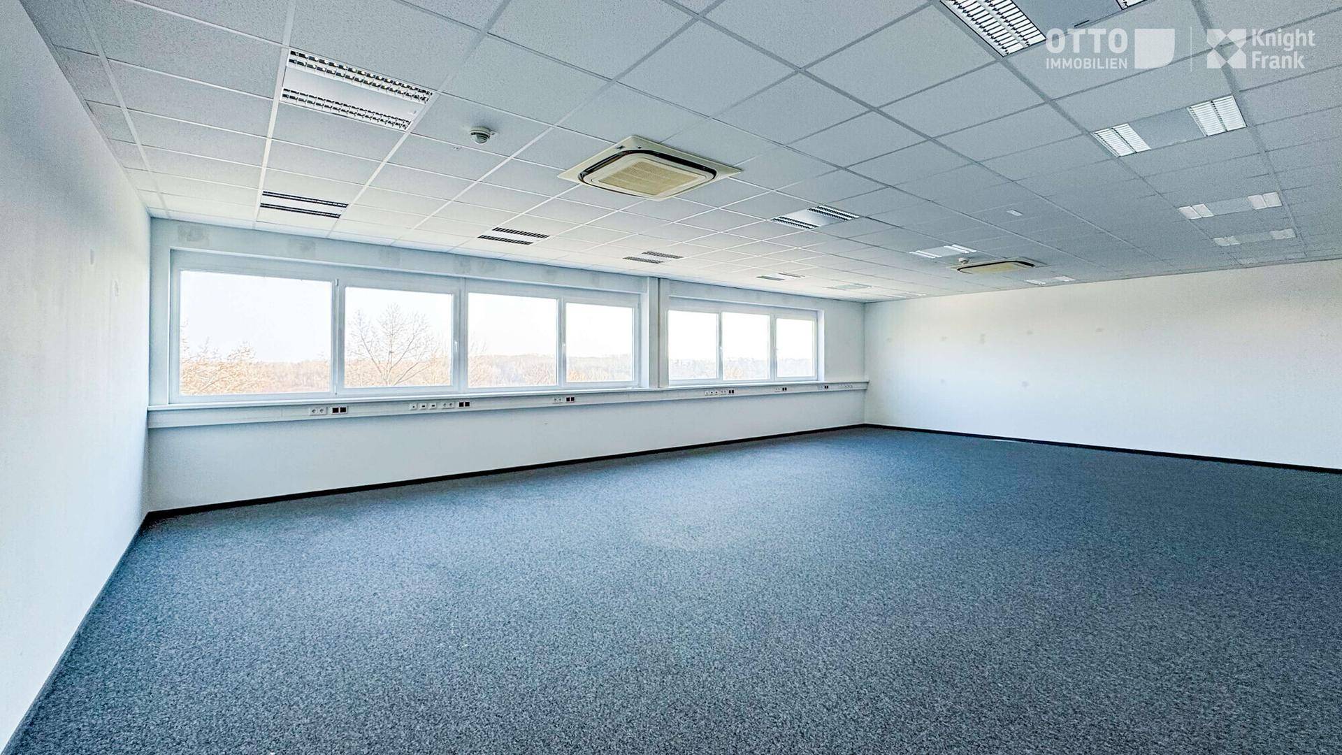 Geräumiges, helles Büro mit Teppichboden, langen Fensterfronten und abgehängter Decke mit Beleuchtung.