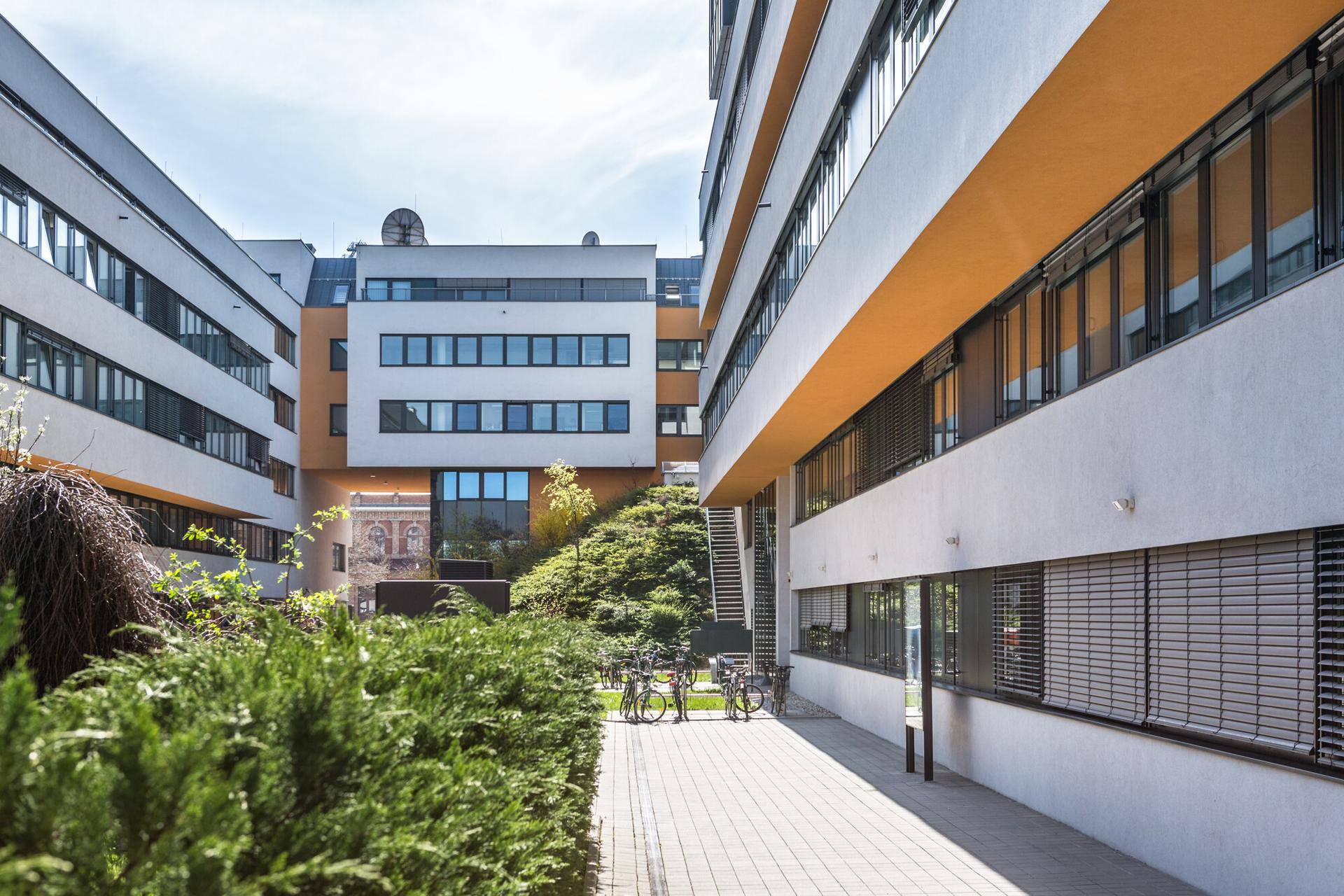 Grüner Innenhof zwischen modernen Bürogebäuden mit gepflastertem Weg und Fahrradständern.