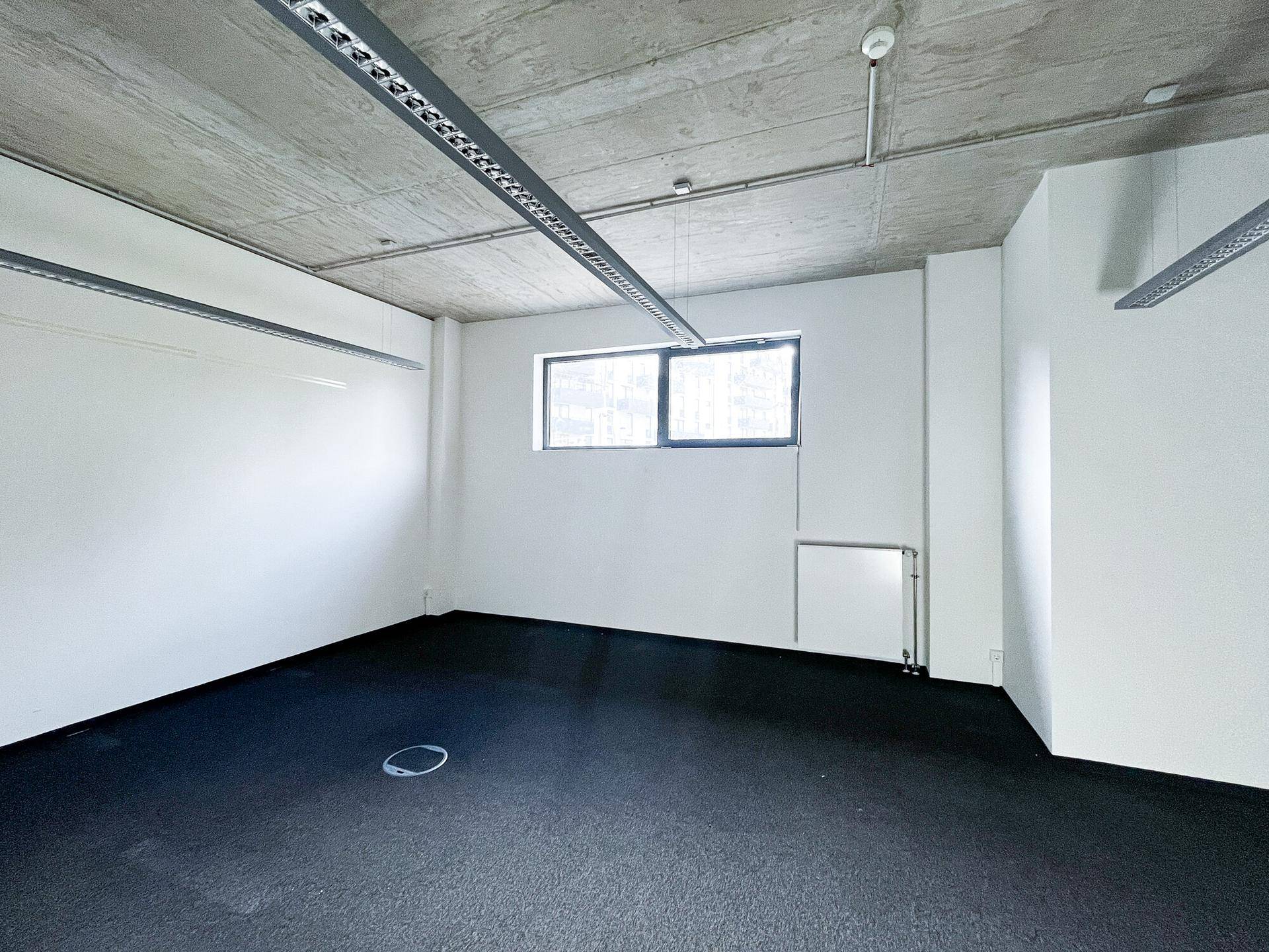 Helles Büro mit dunklem Teppichboden, Heizkörper und sichtbarer Betondecke, bereit für individuelle Gestaltung.