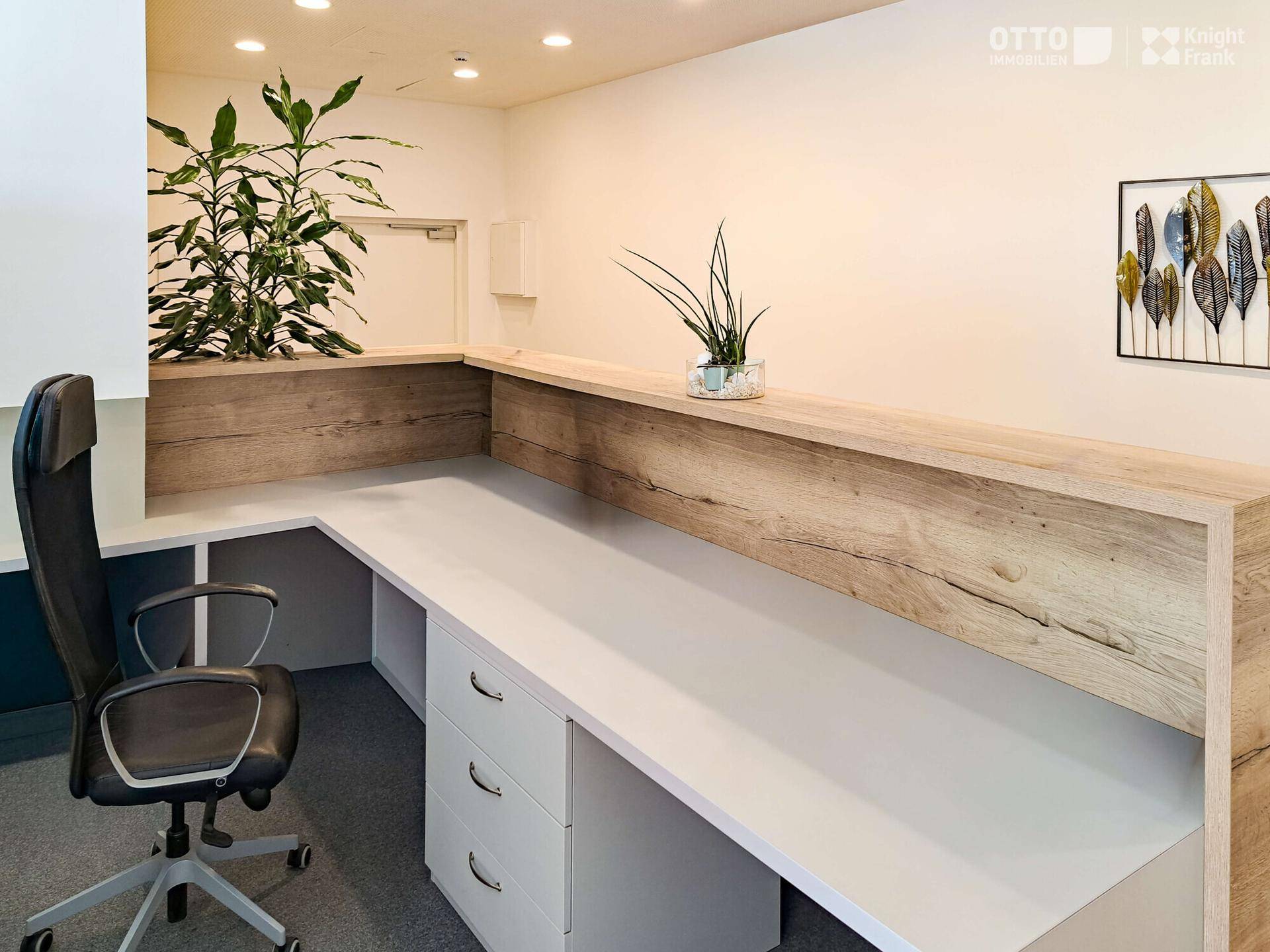 Moderne Rezeption mit Holzverkleidung, weißer Arbeitsfläche und Bürostuhl, ergänzt durch Pflanzen und helle Beleuchtung.