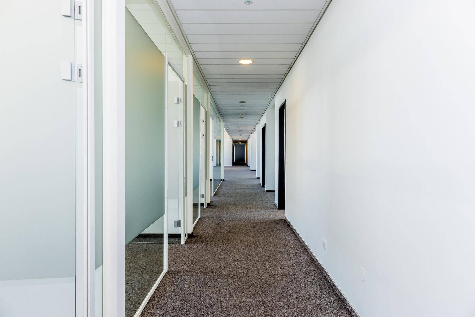 Langer Bürogang mit Teppichboden, weißen Wänden und Büros mit Glaswänden auf einer Seite.