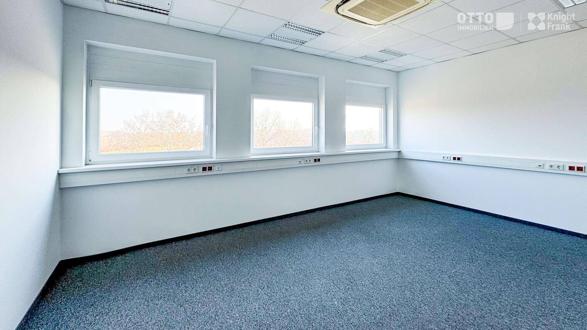 Helles, leeres Büro mit Teppichboden, großen Fenstern und abgehängter Decke.