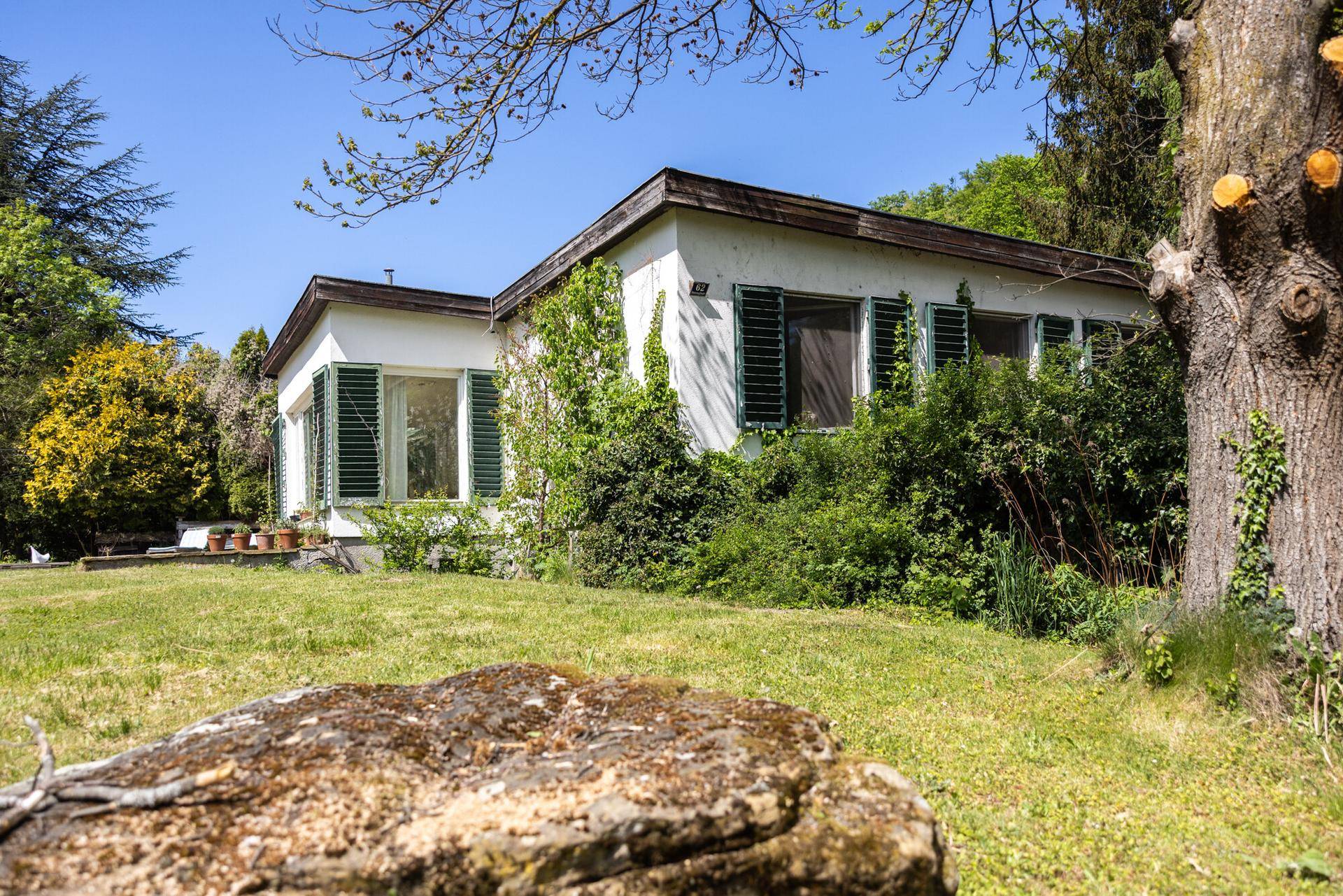 Seitenansicht des Hauses mit grünen Fensterläden und üppiger Bepflanzung im Garten.