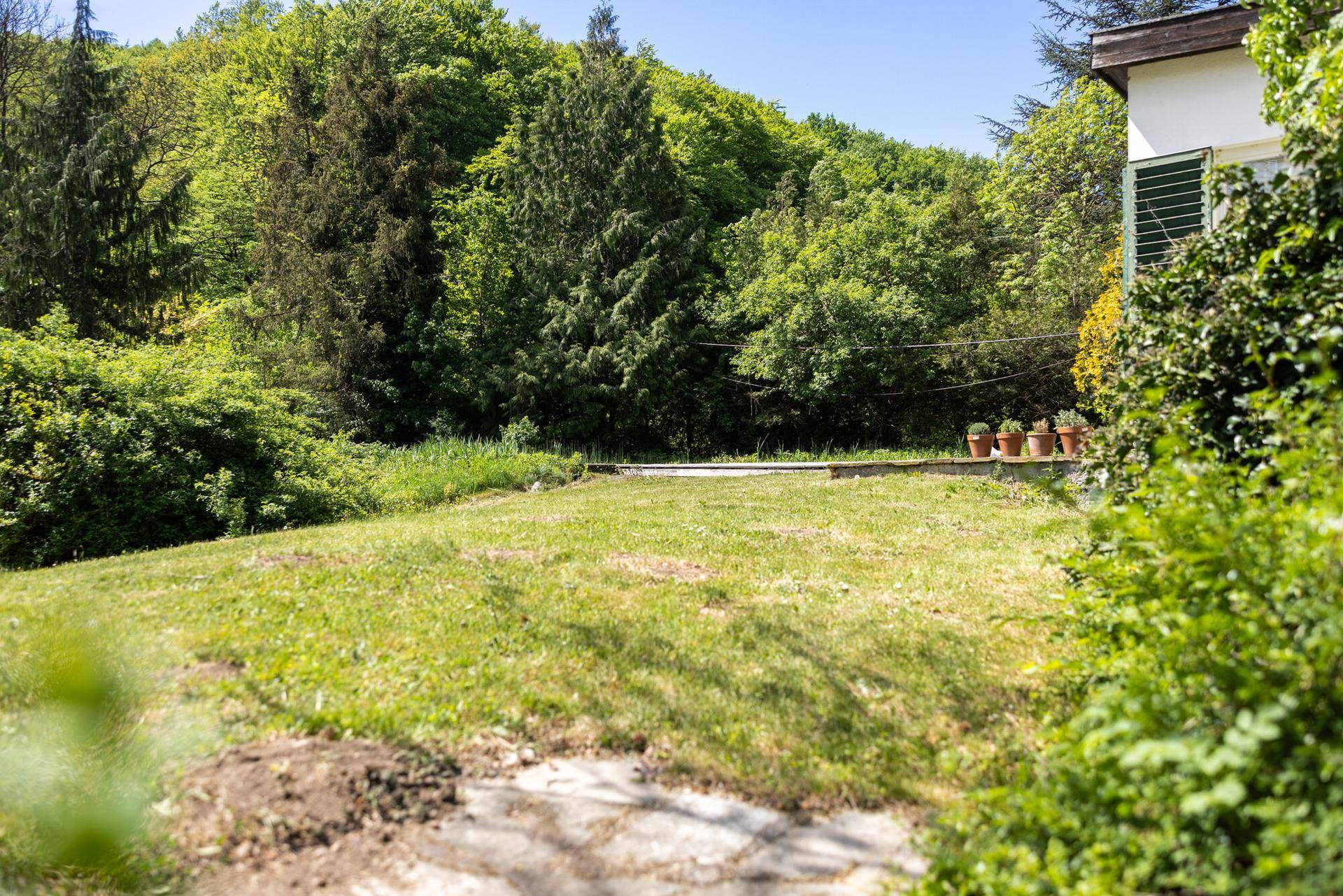 Große Rasenfläche im Garten mit Blick auf die bewaldeten Hügel im Hintergrund.