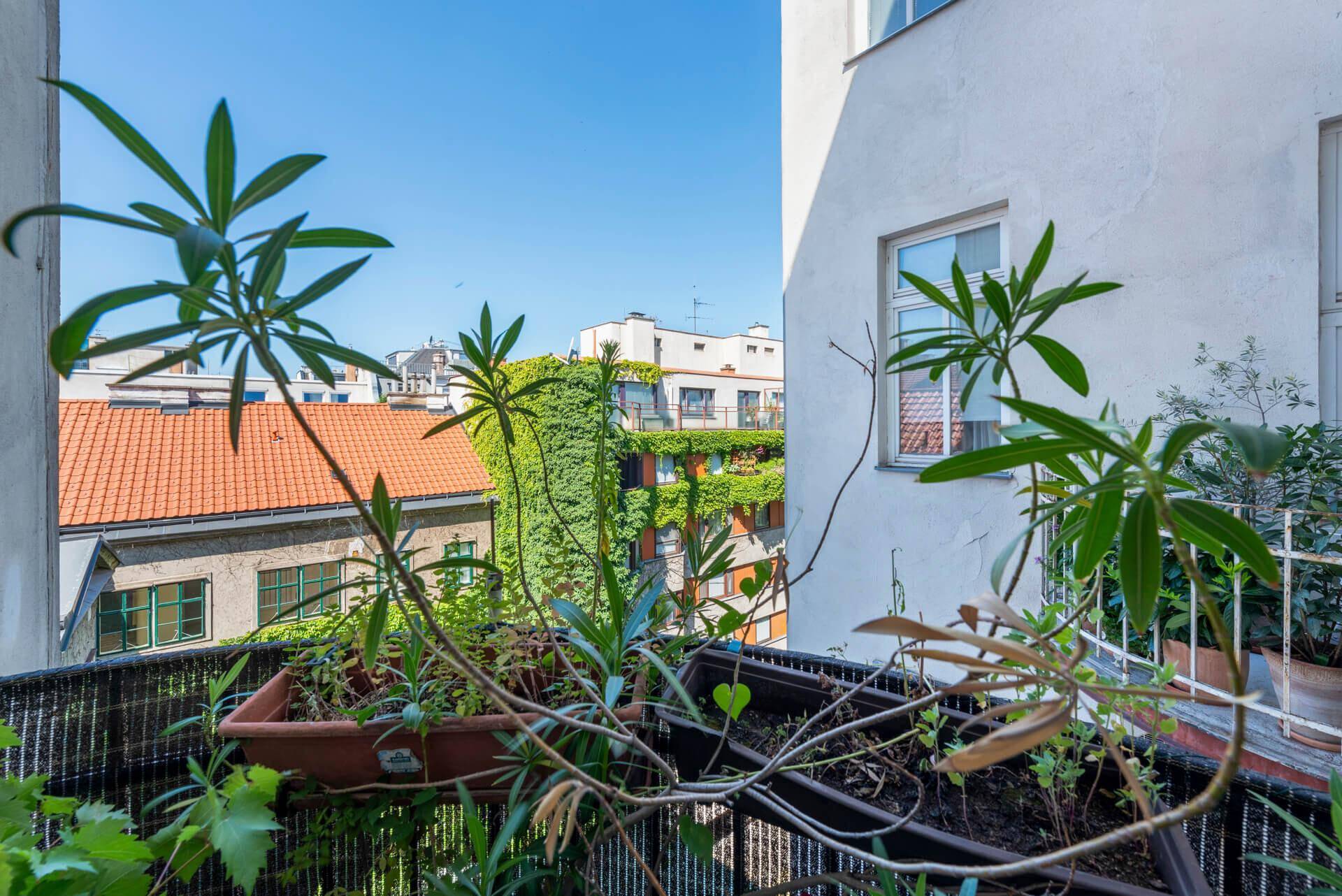 Kleiner Balkon mit Pflanzen und Blick auf begrünte Fassaden und Dächer.