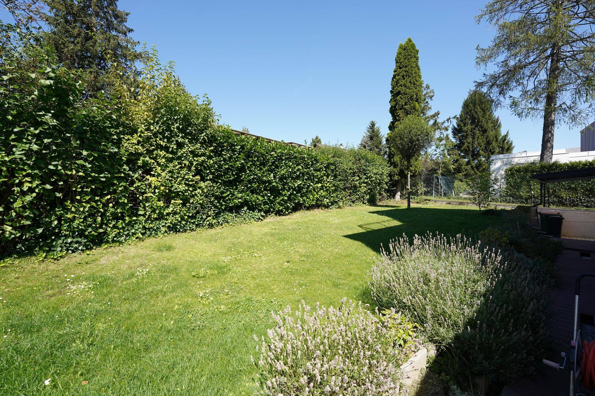 Gepflegter Gartenbereich mit hoher Hecke und Rasenfläche, ideal zum Entspannen im Freien.