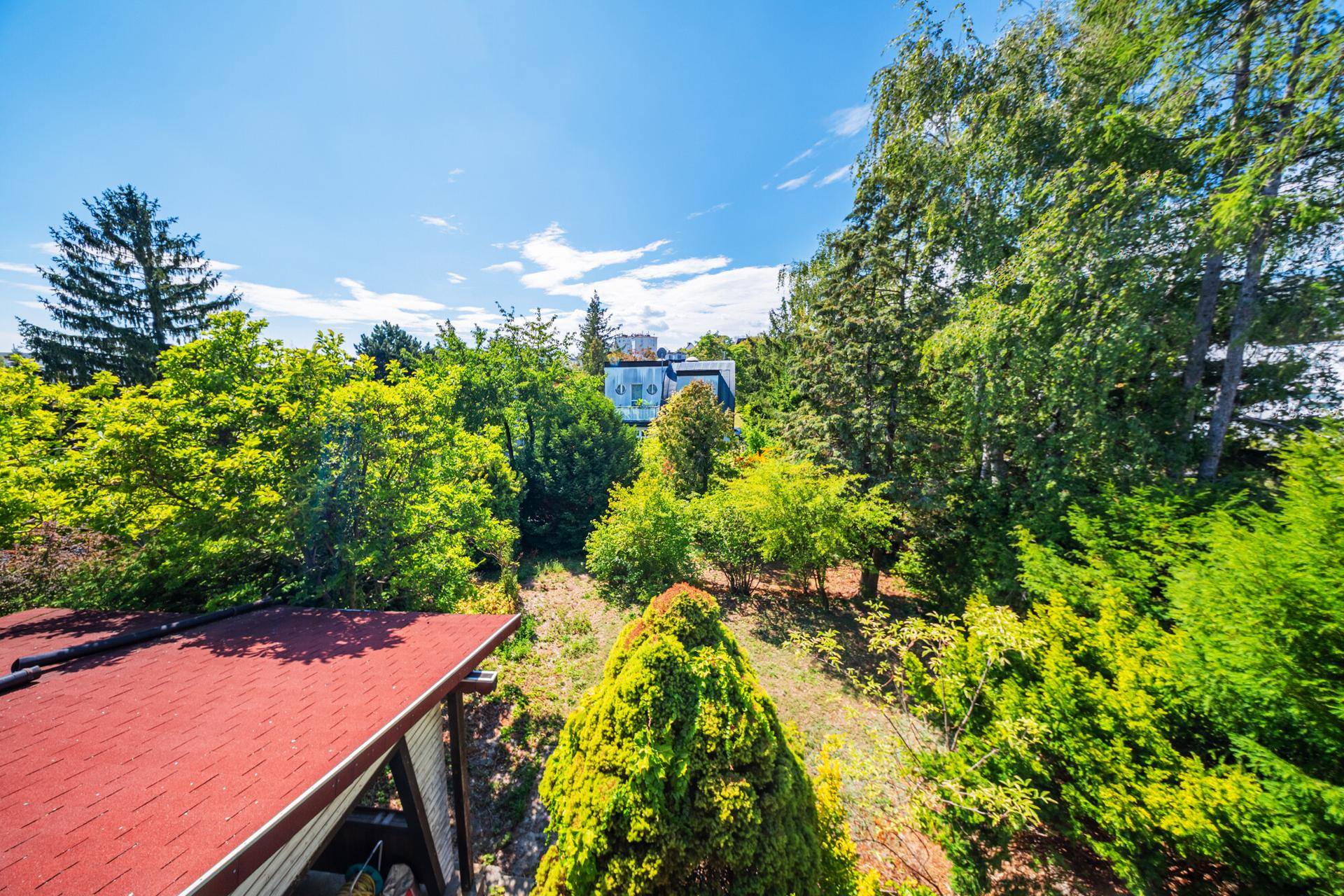 Weitläufiger Blick über den grünen Garten und die umliegende Baumlandschaft unter blauem Himmel.