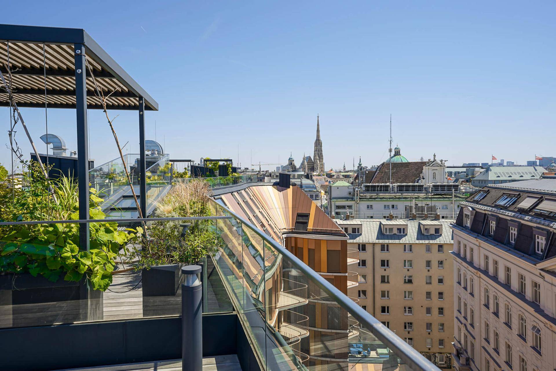 Dachterrasse mit grünen Pflanzen und weitem Stadtblick über die Dächer Wiens.