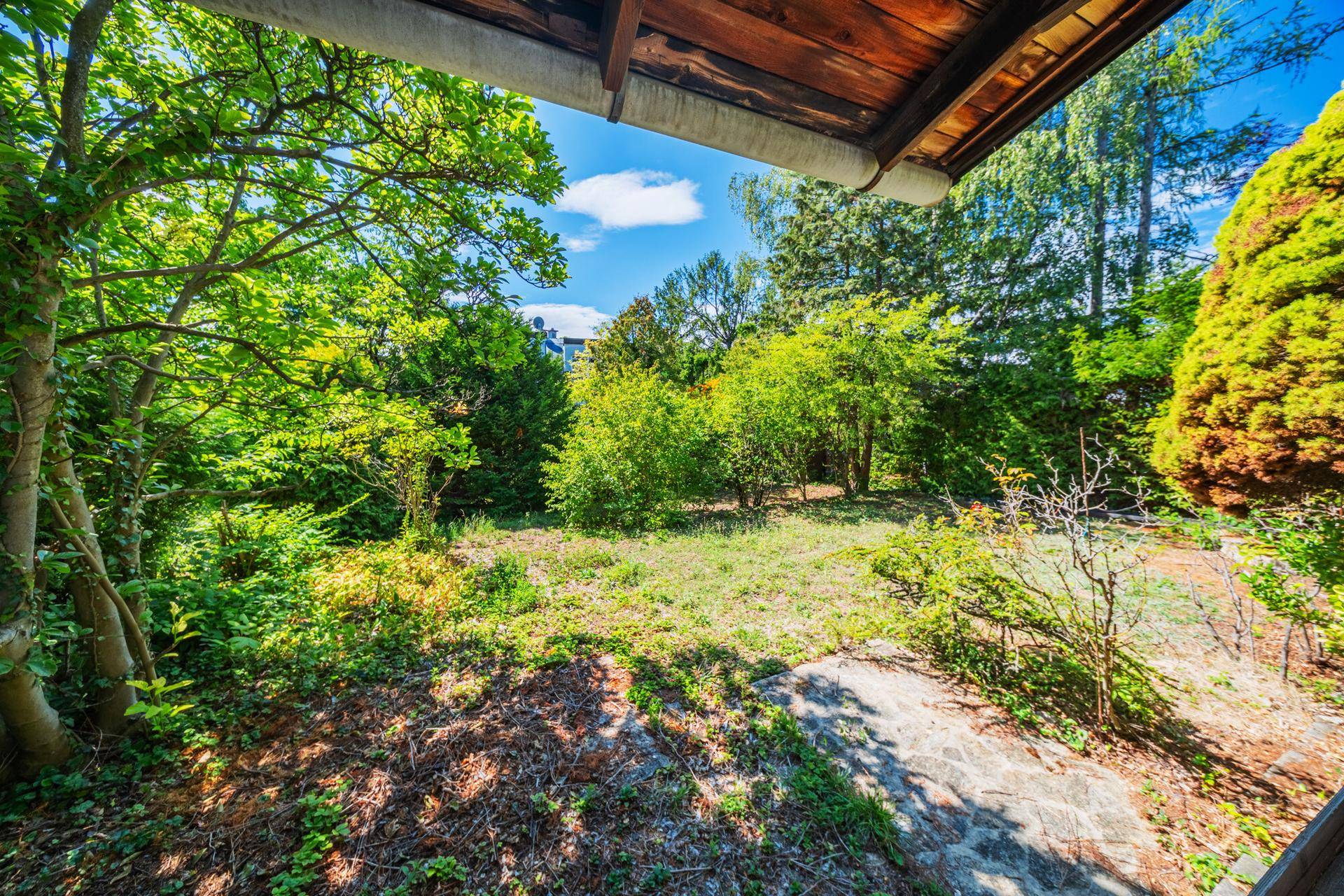 Blick vom überdachten Bereich in den weitläufigen, grünen Garten mit altem Baumbestand und viel Sonne.