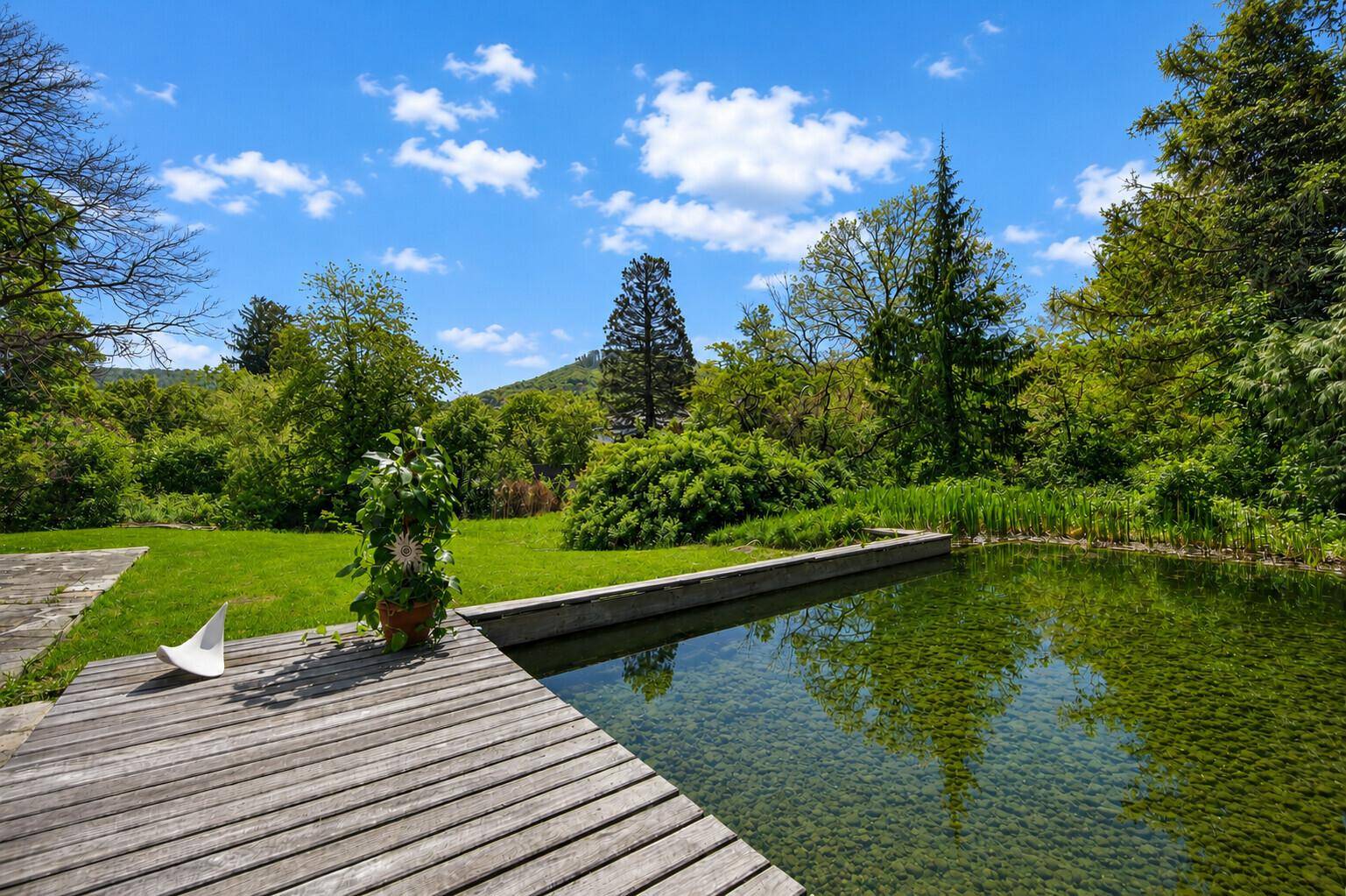 Natürlicher Teich mit Holzsteg und üppiger grüner Umgebung unter strahlend blauem Himmel.
