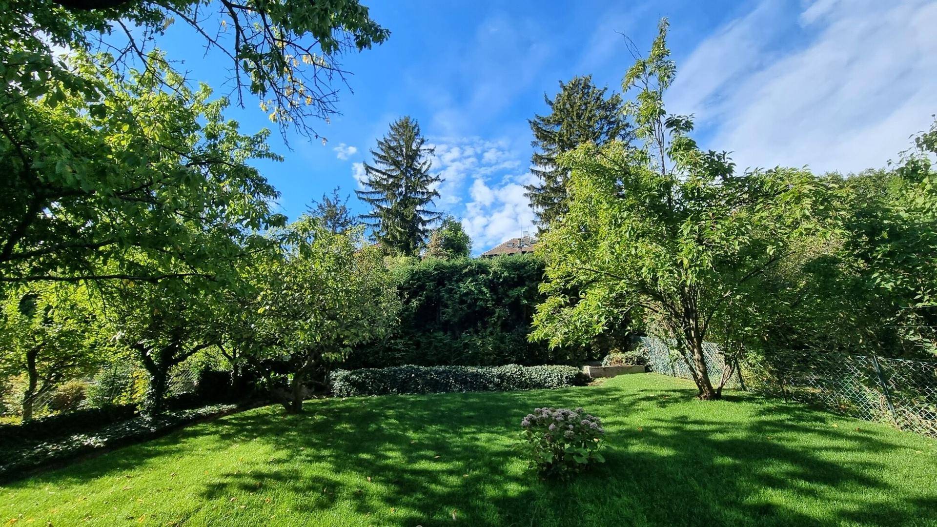 Großer, gepflegter Garten mit üppigem Grün, Rasenfläche und hohen Bäumen.