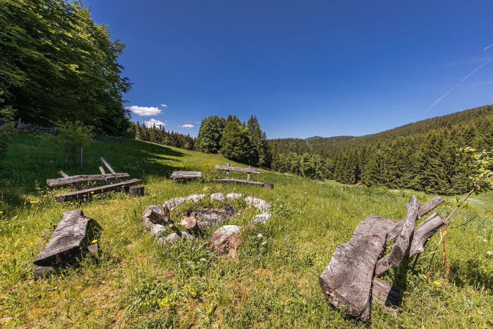 Malerische Feuerstelle in einer grünen Wiese, umgeben von Wald und Bergen.