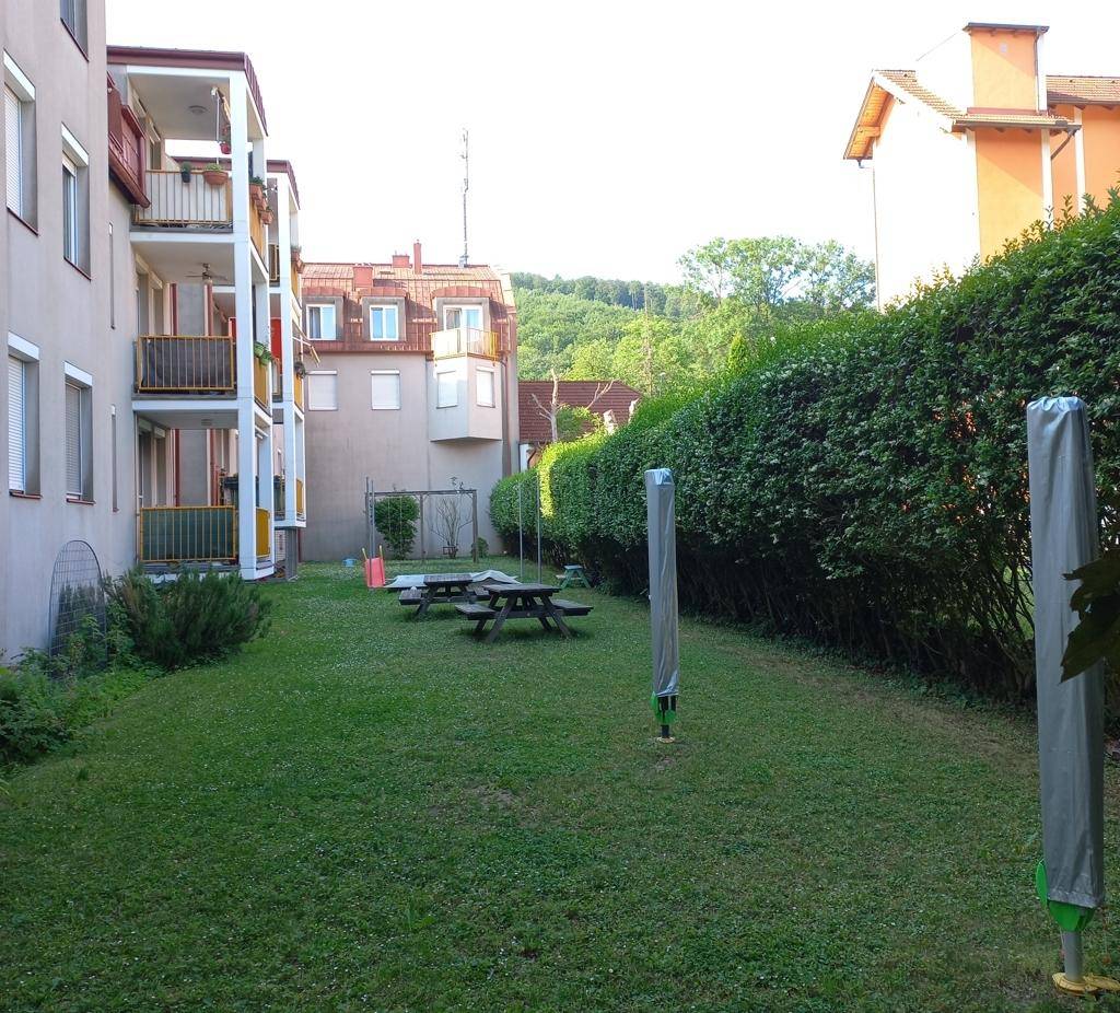 Gepflegter Gemeinschaftsgarten mit Rasenfläche, Hecken und Picknicktischen zwischen den Wohngebäuden.
