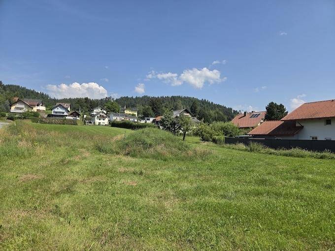 Sonnige Wiese mit Blick auf eine Ansammlung von Häusern und Bäumen am Fuße eines Hügels.