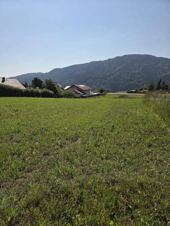 Idyllische Grünfläche mit Blick auf bewaldete Berge und vereinzelte Wohnhäuser in der Ferne.